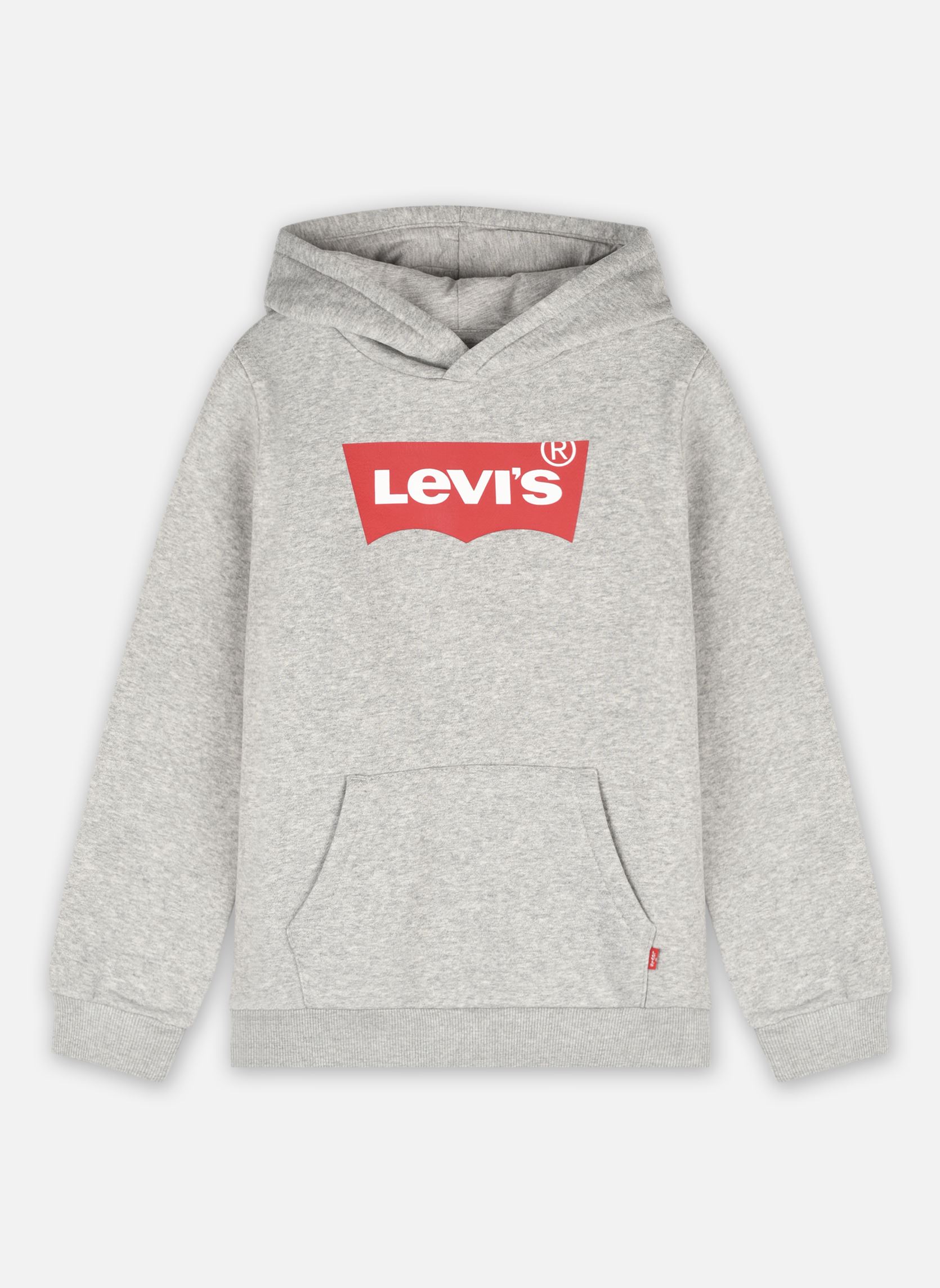 Vêtements Levi's Lvb-Batwing Screenprint Hoodie NPU pour  Accessoires