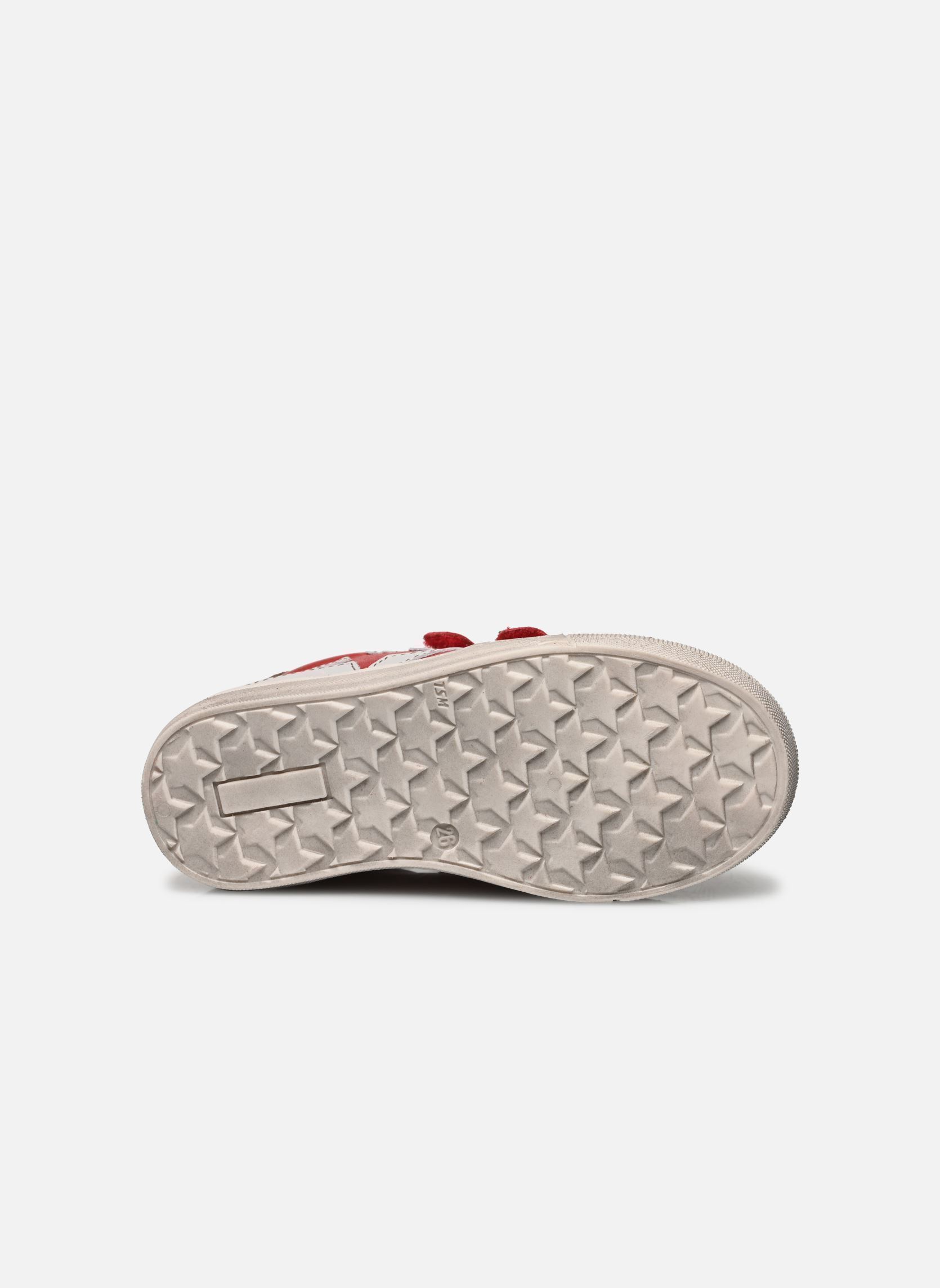 Niedrige Sneaker Dolby jungen rot Froddo Niedrige Sneaker Dolby jungen rot RED+