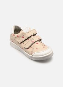 Niedrige Sneaker Rosario Velcro jungen blau