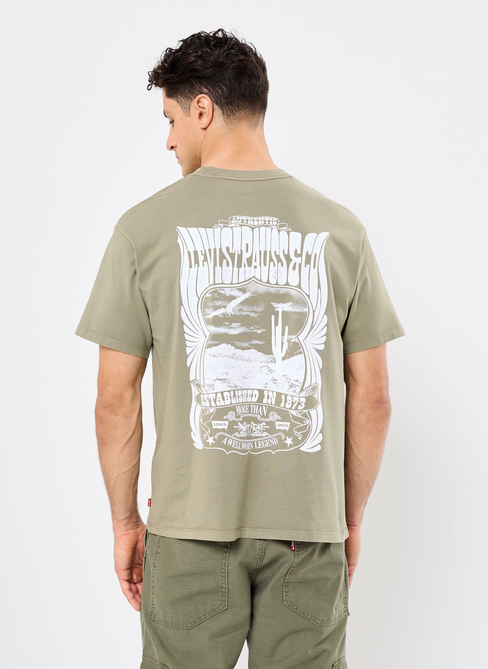 Tee-shirts Vintage Fit Graphic Tee homme vert Levi's Tee-shirts Vintage Fit Graphic Tee homme vert CONCERT TEE DEEP LICHEN GREEN