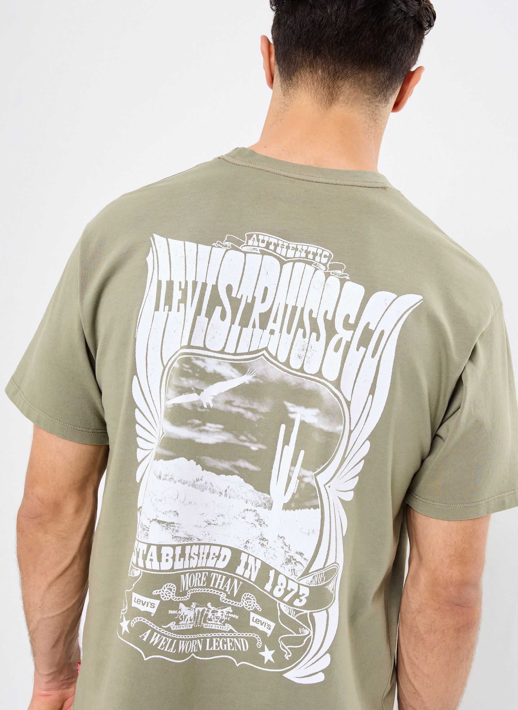 Tee-shirts Vintage Fit Graphic Tee homme vert Levi's Tee-shirts Vintage Fit Graphic Tee homme vert CONCERT TEE DEEP LICHEN GREEN