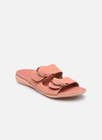 Terracotta