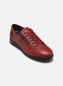 Oxblood
