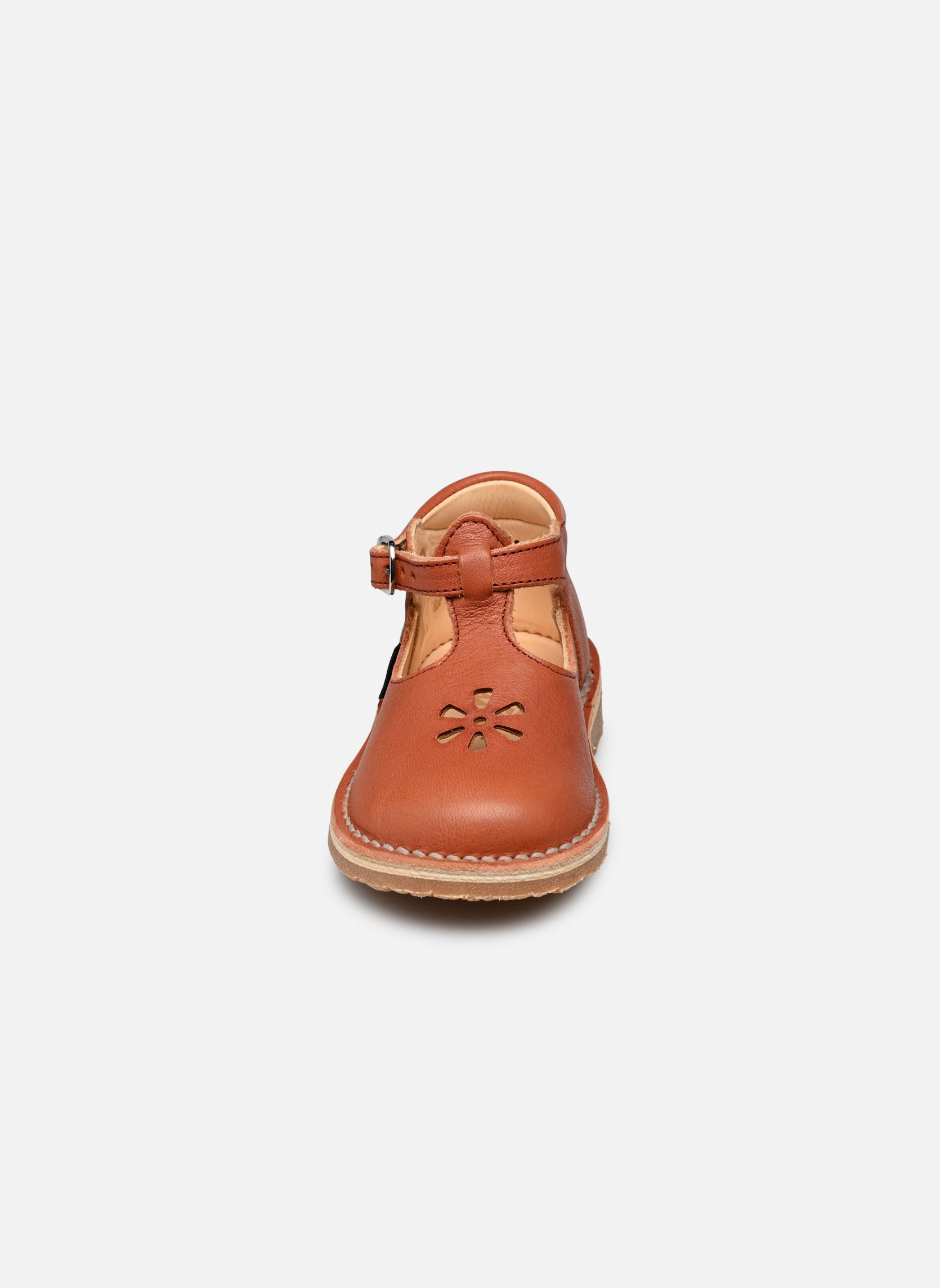 Ballerina's Bimbo-2 rood Aster Ballerina's Bimbo-2 rood ROUGE TERRACOTTA