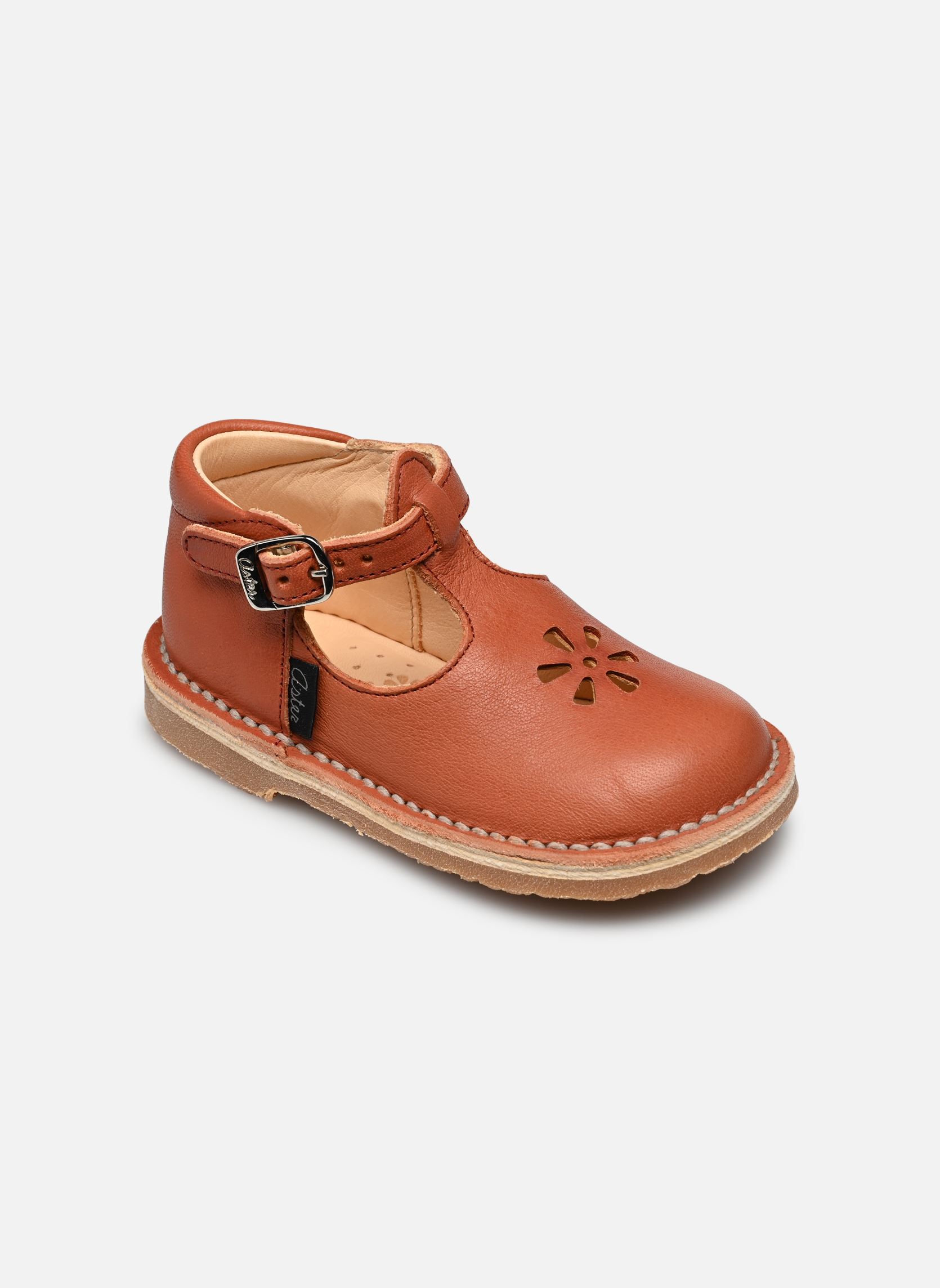 Ballerina's Bimbo-2 rood Aster Ballerina's Bimbo-2 rood ROUGE TERRACOTTA