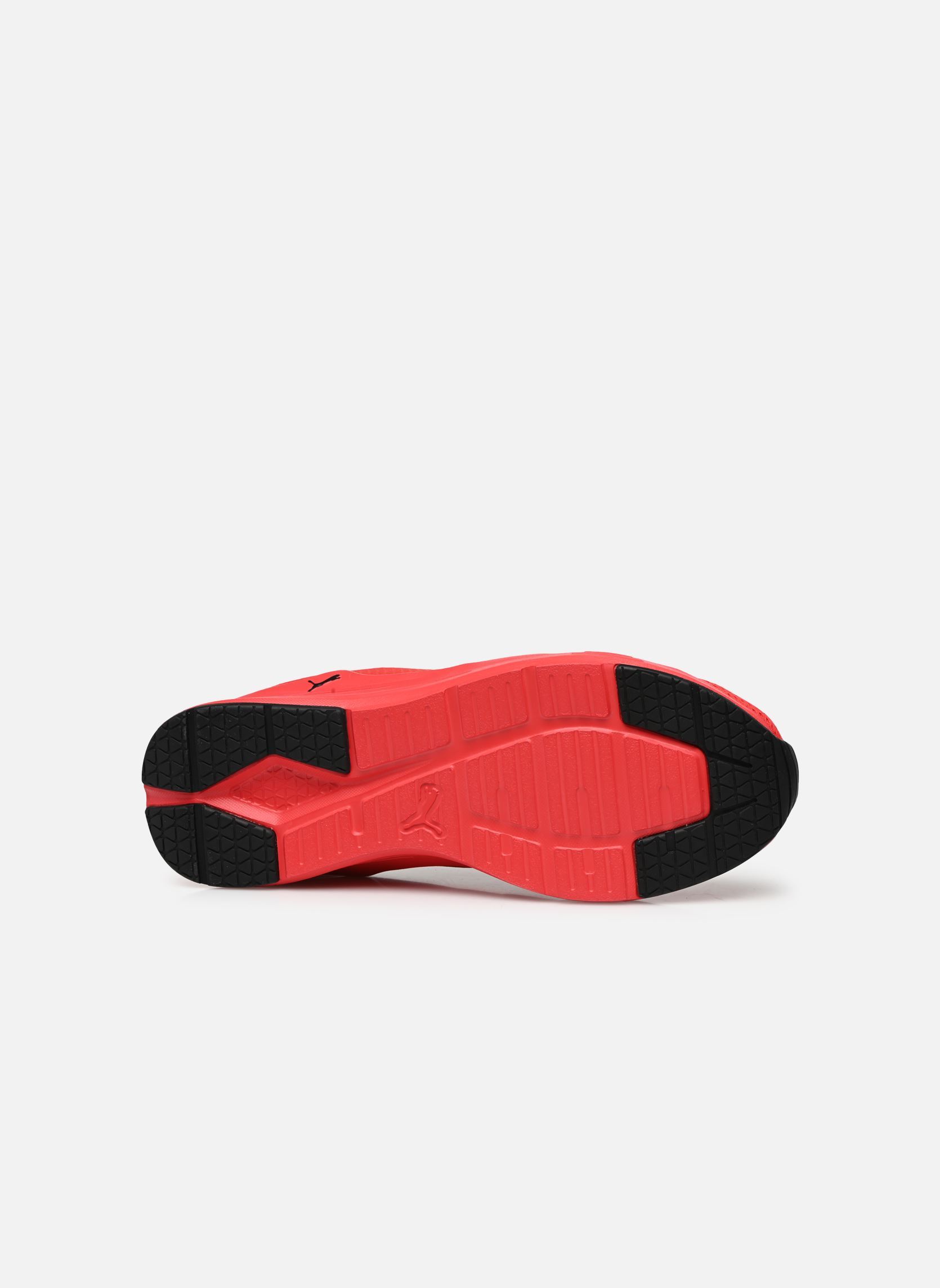 puma rouge enfant