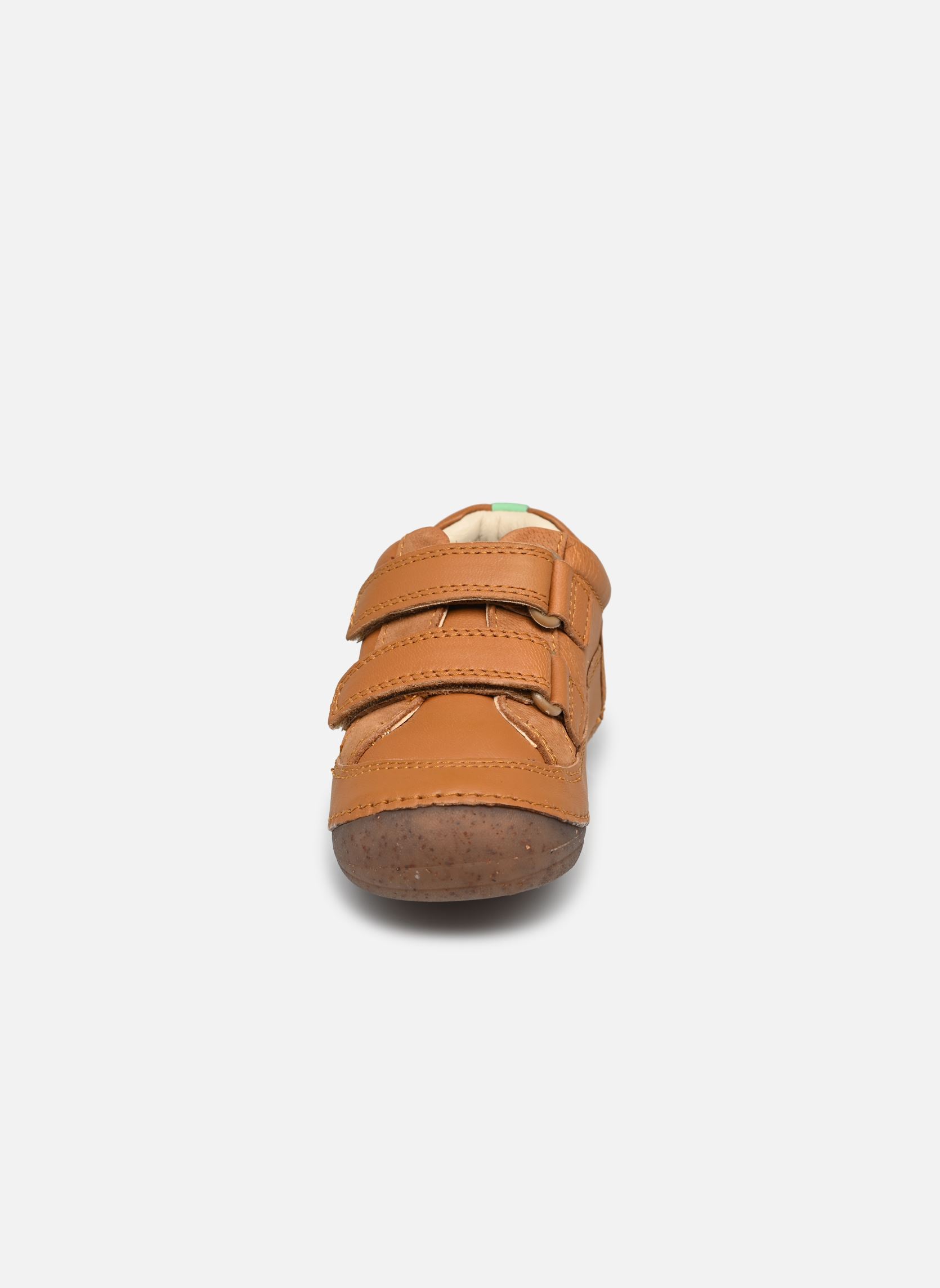 Baskets basses Sostankro garçon marron Kickers Baskets basses Sostankro garçon marron CAMEL