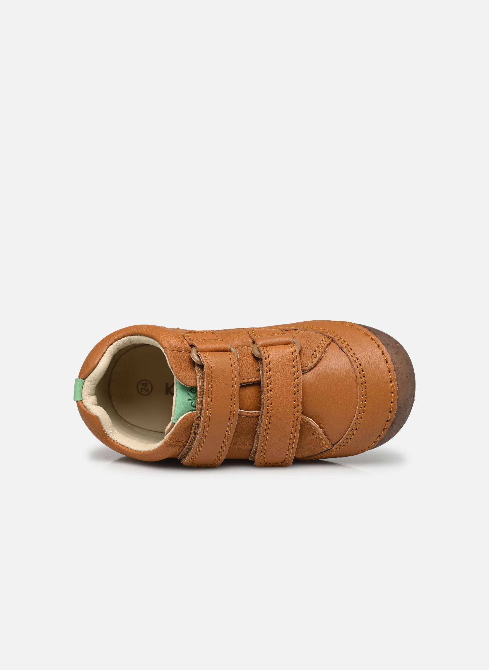 Baskets basses Sostankro garçon marron Kickers Baskets basses Sostankro garçon marron CAMEL