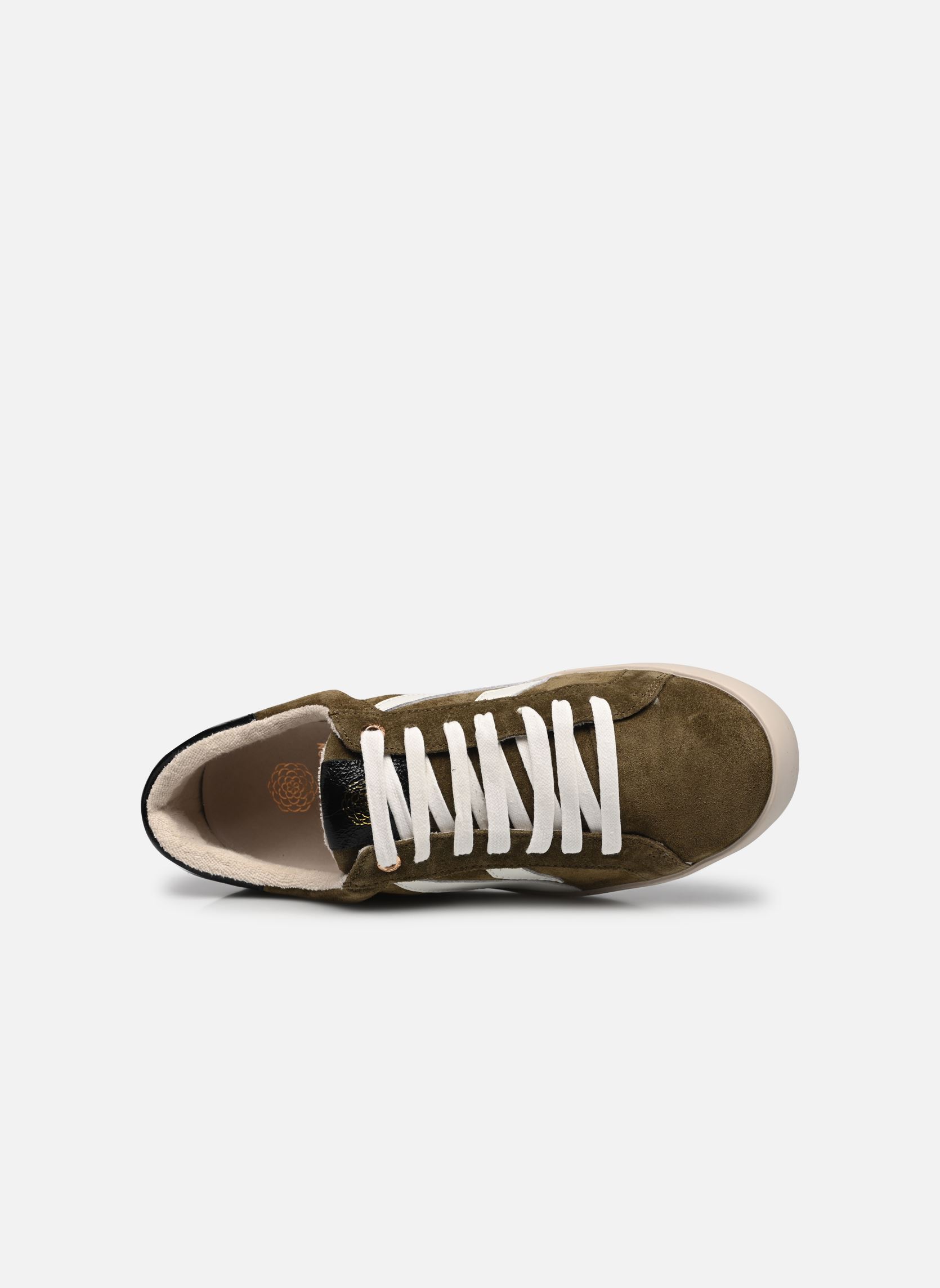 Baskets basses Sassy femme vert Karston Baskets basses Sassy femme vert Kaki2