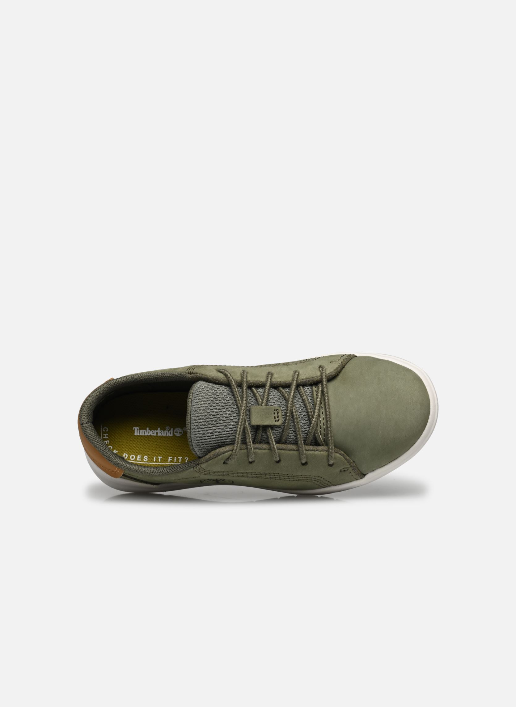 Baskets basses Seneca Bay Leather Oxford vert Timberland Baskets basses Seneca Bay Leather Oxford vert DARK GREEN NUBUCK