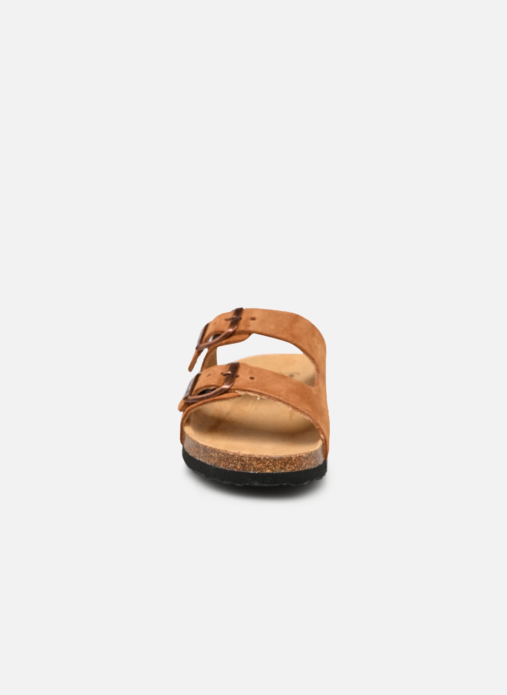 Sandales ALEX COLLECTION marron Scholl Sandales ALEX COLLECTION marron BROWN