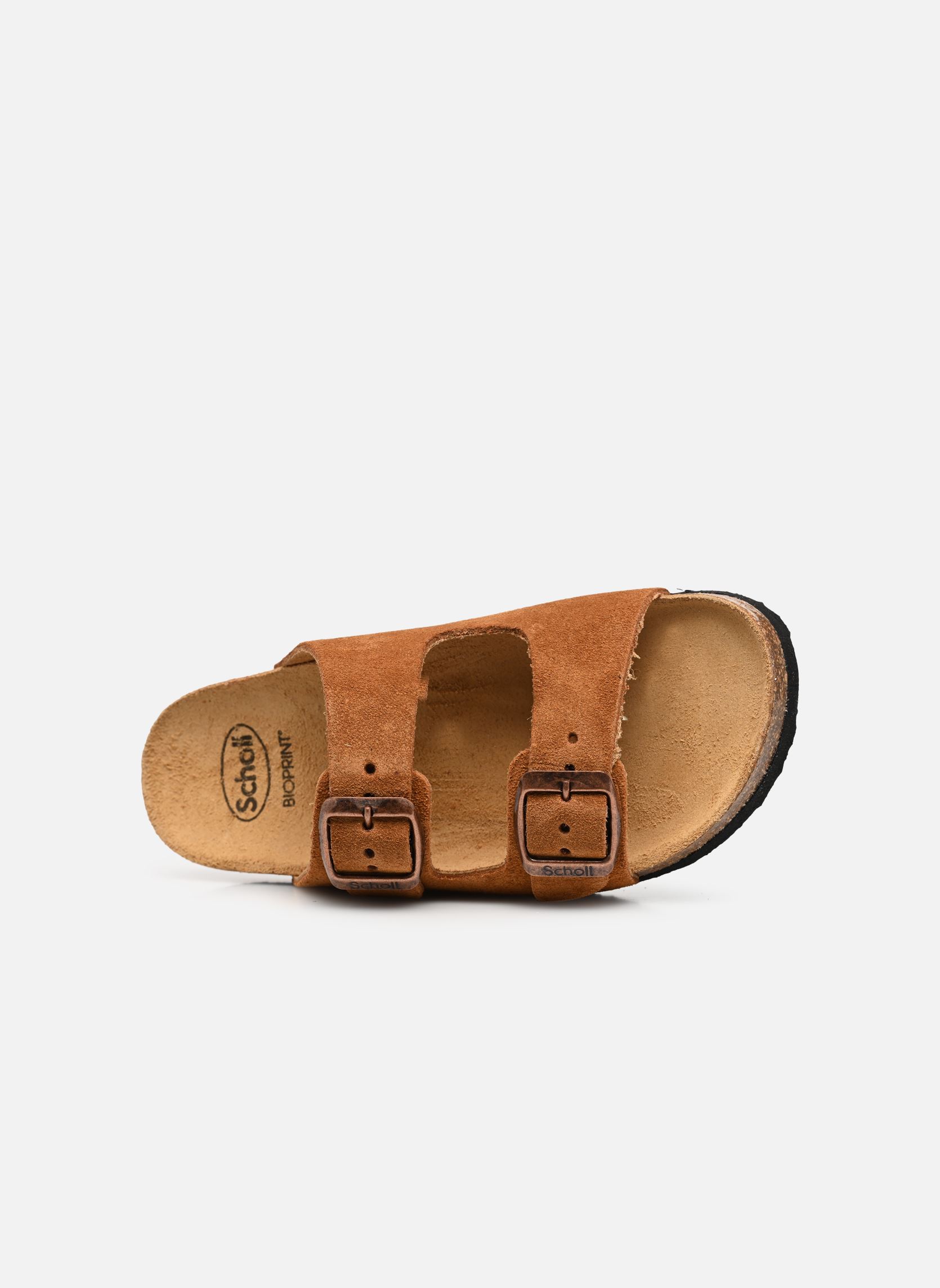 Sandales ALEX COLLECTION marron Scholl Sandales ALEX COLLECTION marron BROWN
