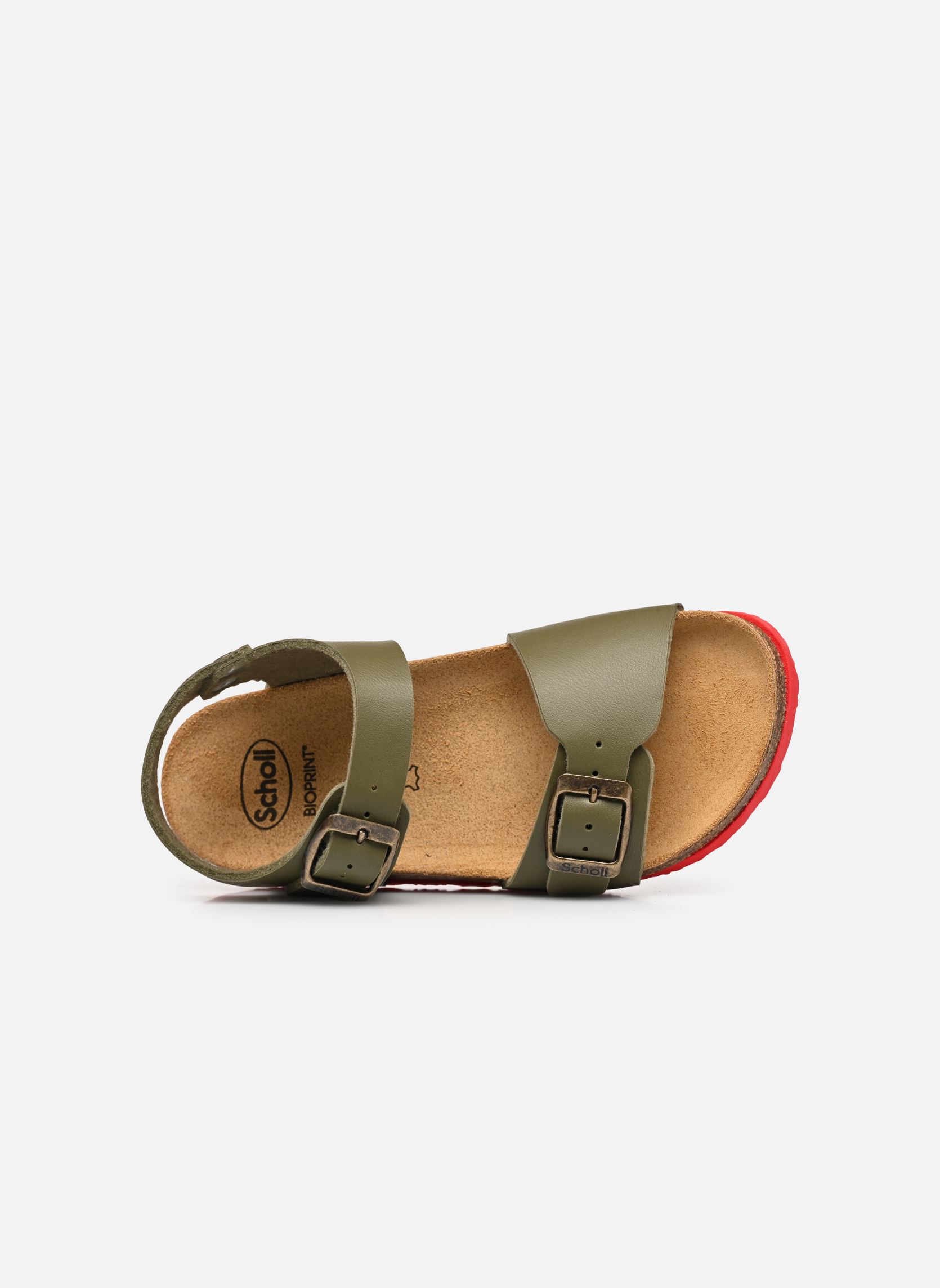 Sandales JEAN COLLECTION garçon vert Scholl Sandales JEAN COLLECTION garçon vert KAKI / LS RED