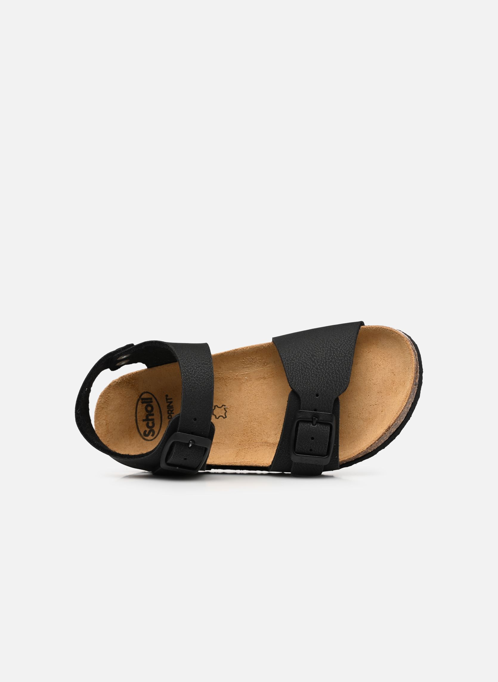 Sandales JEAN COLLECTION noir Scholl Sandales JEAN COLLECTION noir BLACK