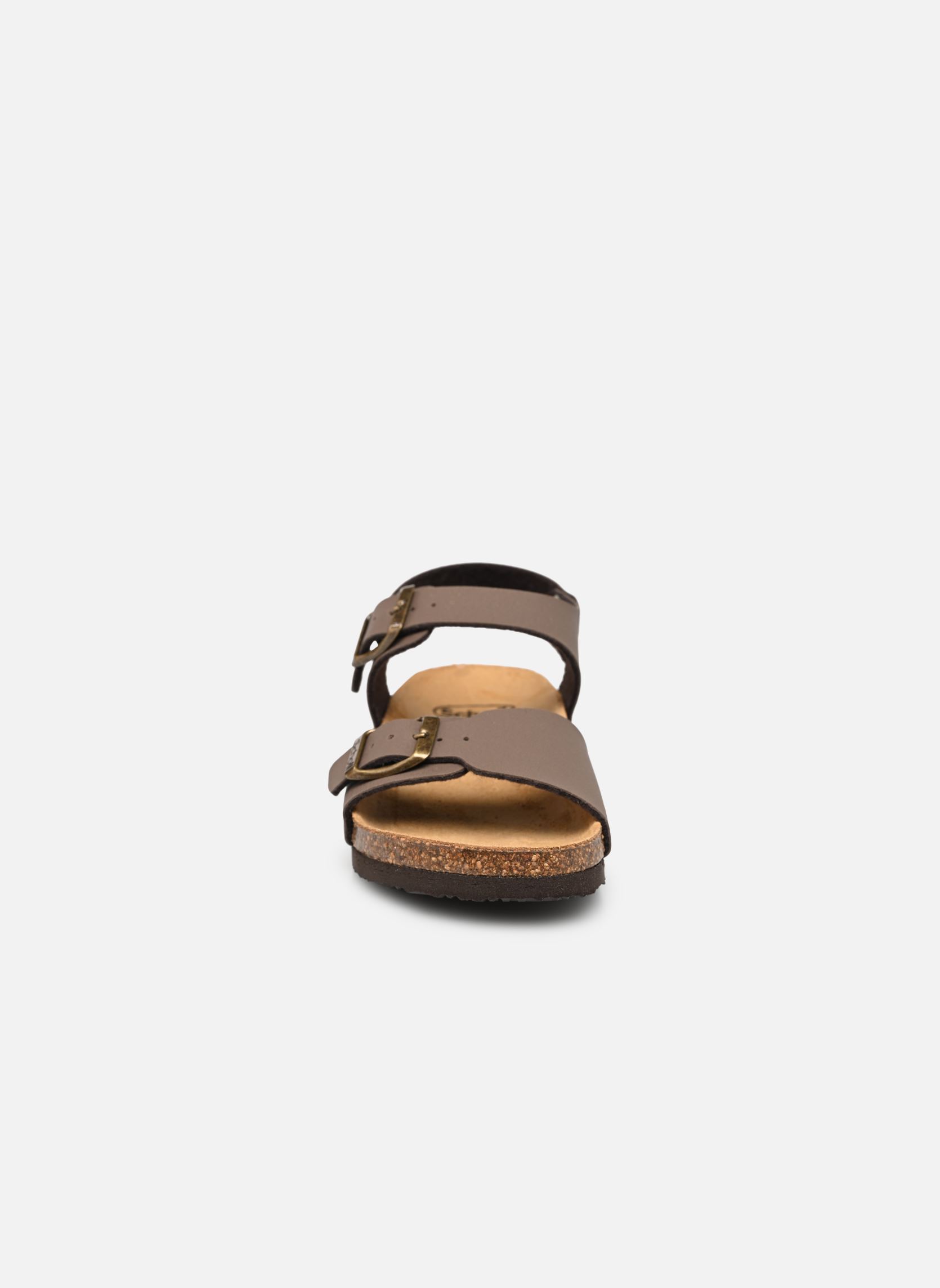 Sandales JEAN COLLECTION marron Scholl Sandales JEAN COLLECTION marron BROWN