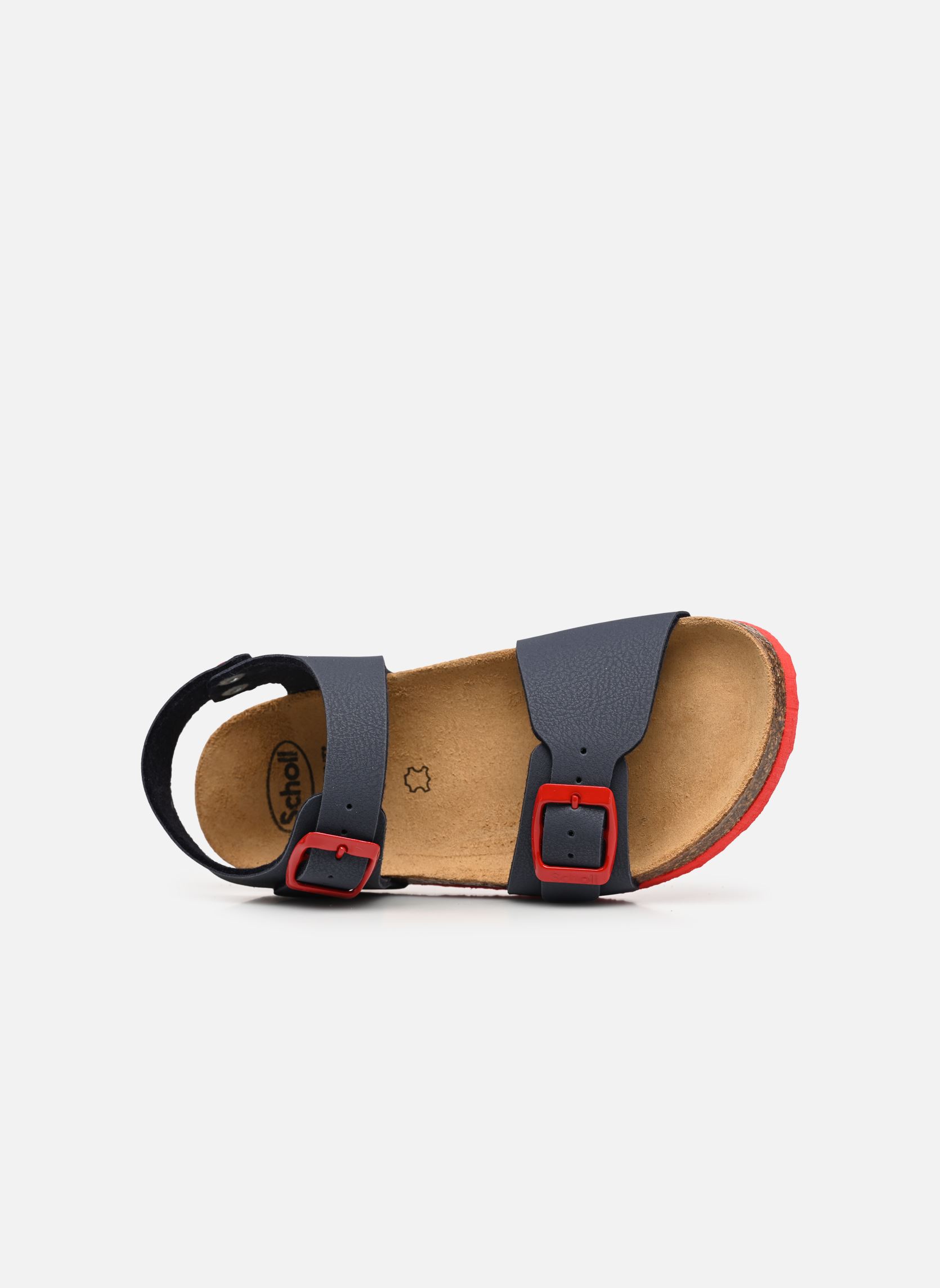 Sandales JEAN COLLECTION garçon bleu Scholl Sandales JEAN COLLECTION garçon bleu NAVY / LS RED