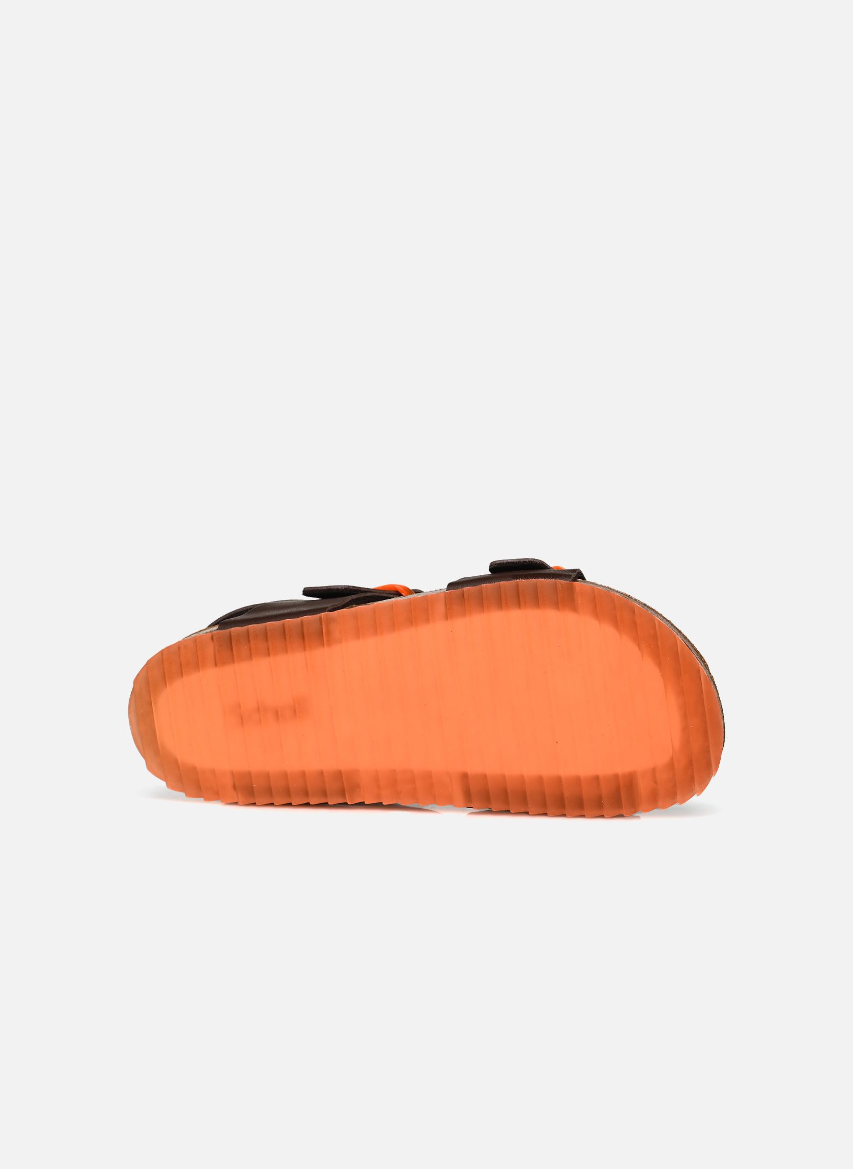 Sandali JEAN COLLECTION bambino marrone Scholl Sandali JEAN COLLECTION bambino marrone BROWN / TRANSLUCENT ORANGE