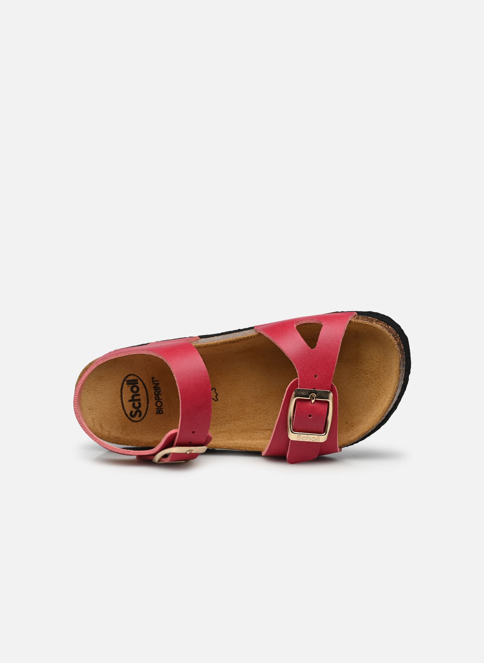Sandales ADALENE COLLECTION fille rose Scholl Sandales ADALENE COLLECTION fille rose RASPBERRY