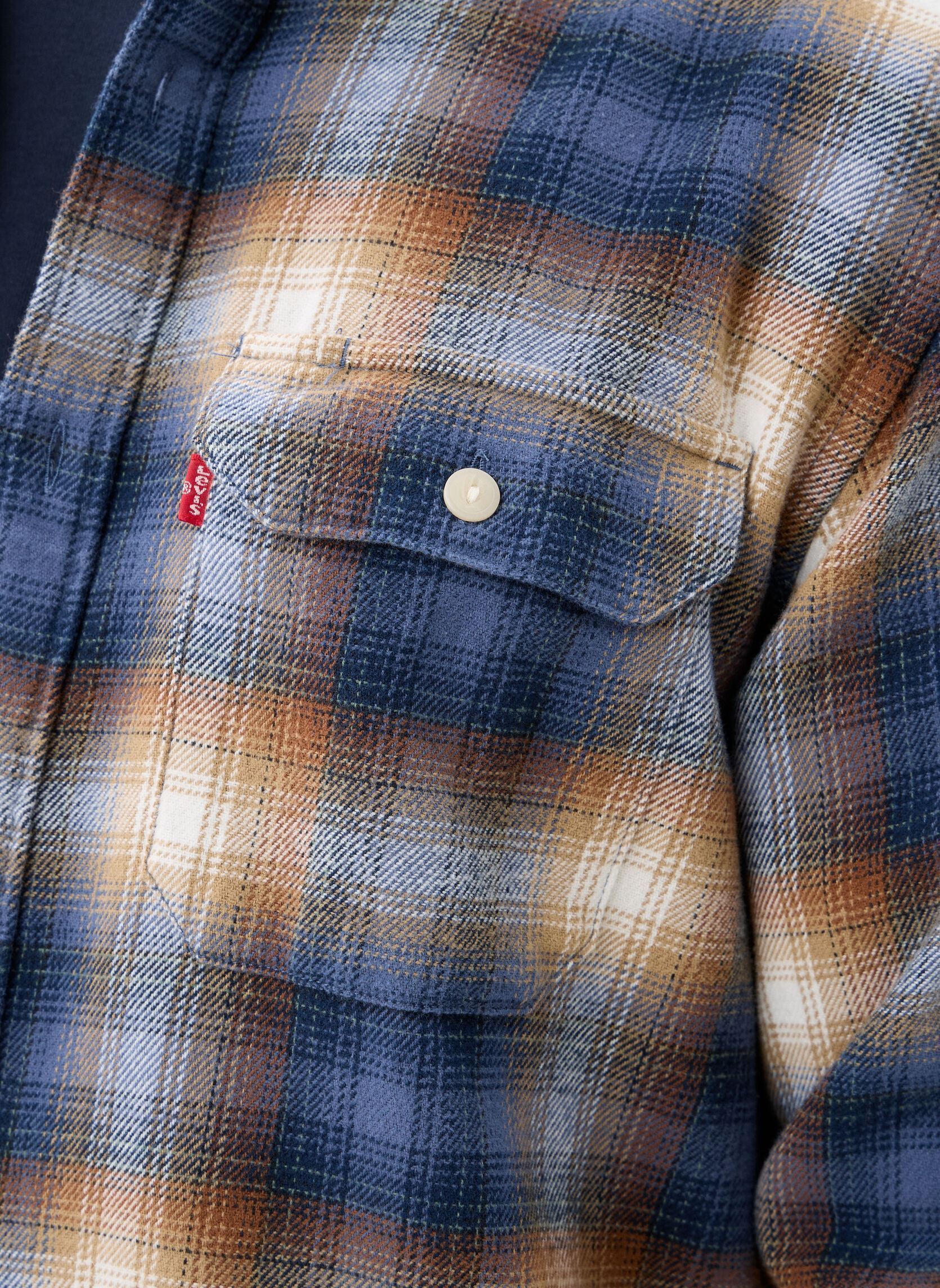 Hemden JACKSON WORKER heren meerkleurig Levi's Hemden JACKSON WORKER heren meerkleurig WARWICK PLAID VINTAGE INDIGO