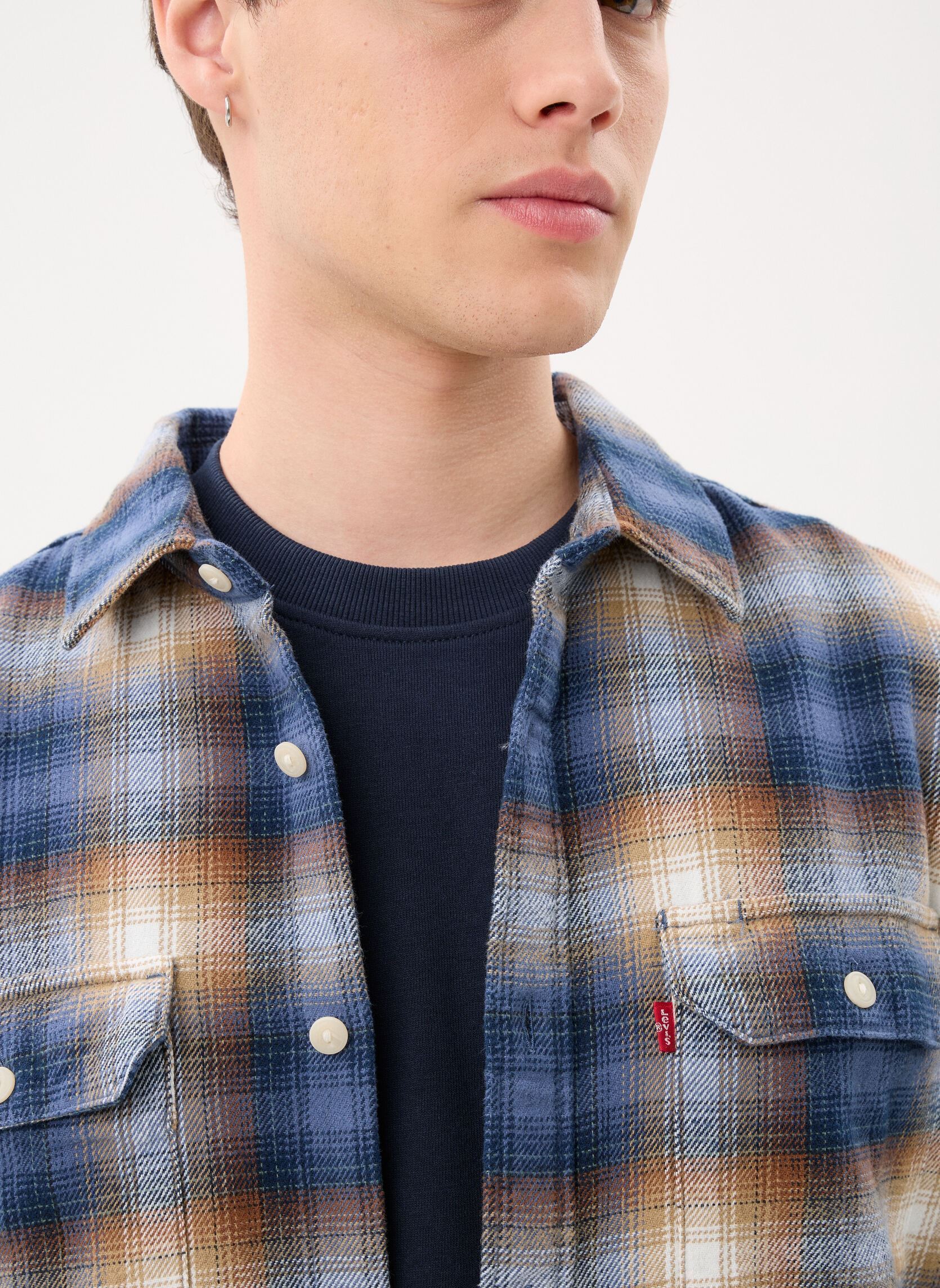 Hemden JACKSON WORKER heren meerkleurig Levi's Hemden JACKSON WORKER heren meerkleurig WARWICK PLAID VINTAGE INDIGO