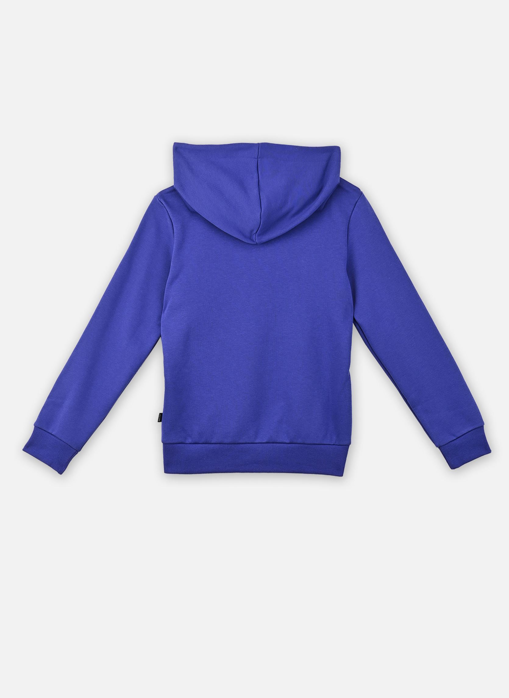 Sweats à capuche Ess+ 2 Col Big Logo Hoodie Fl B garçon bleu Puma Sweats à capuche Ess+ 2 Col Big Logo Hoodie Fl B garçon bleu Lapis Lazuli