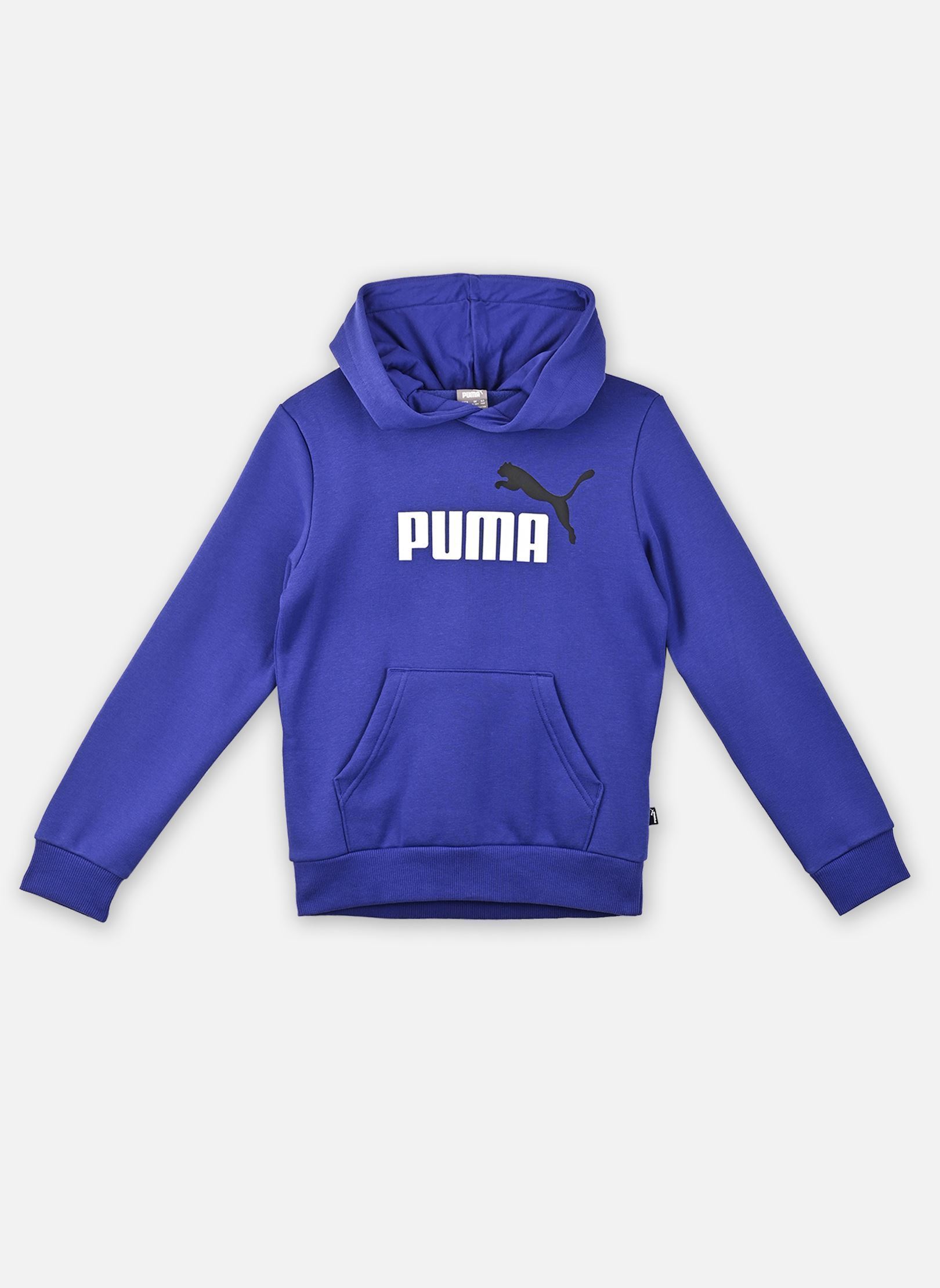 Sweat shirt enfant Puma ESS+ 2 COL BIG LOGO HOODIE FL