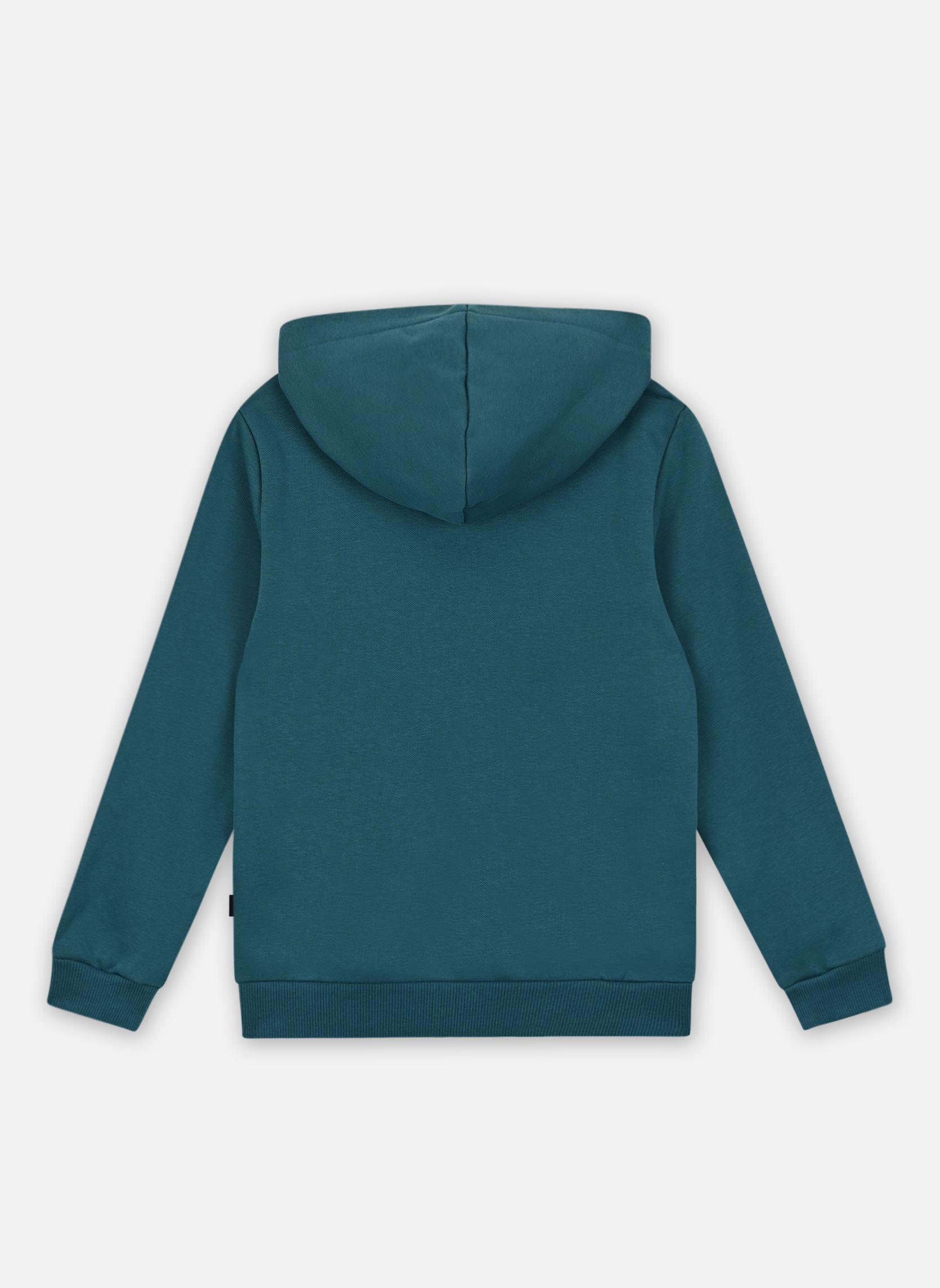 Sweats à capuche Ess+ 2 Col Big Logo Hoodie Fl B garçon vert Puma Sweats à capuche Ess+ 2 Col Big Logo Hoodie Fl B garçon vert Cold Green