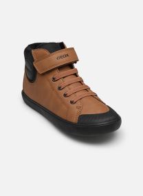 Knöchelhohe Sneaker J Gisli Boy C jungen braun Geox Knöchelhohe Sneaker J Gisli Boy C jungen braun BROWN/BLACK