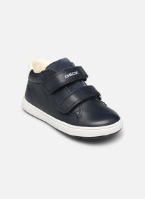 Baskets basses B BIGLIA BOY marron