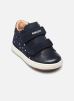 Geox Biglia voor babymeisjes (baby/peuter) eerste loopschoen, Donker Beige/Platina, 7 Toddler Geox Biglia voor babymeisjes (baby/peuter) eerste loopschoen, Donker Beige/Platina, 7 Toddler