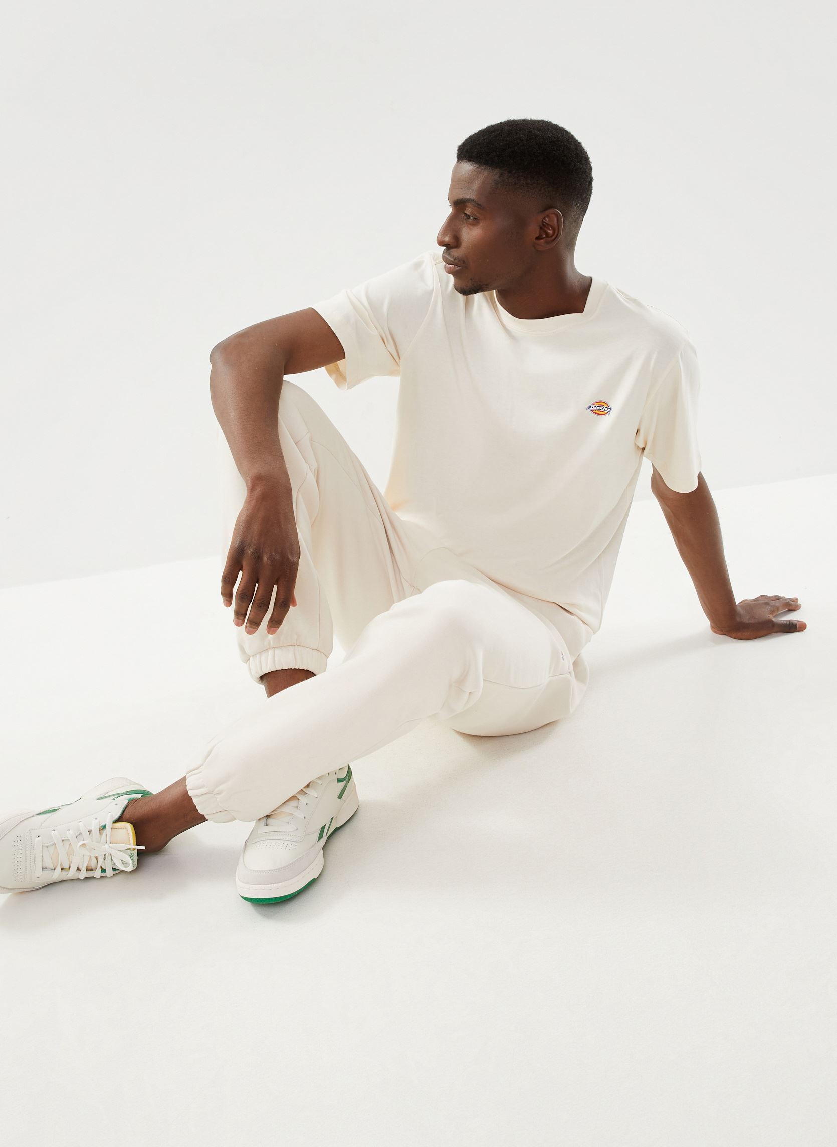 Tee-shirts Ss Mapleton T-Shirt homme blanc Dickies Tee-shirts Ss Mapleton T-Shirt homme blanc WHITECAP GRAY