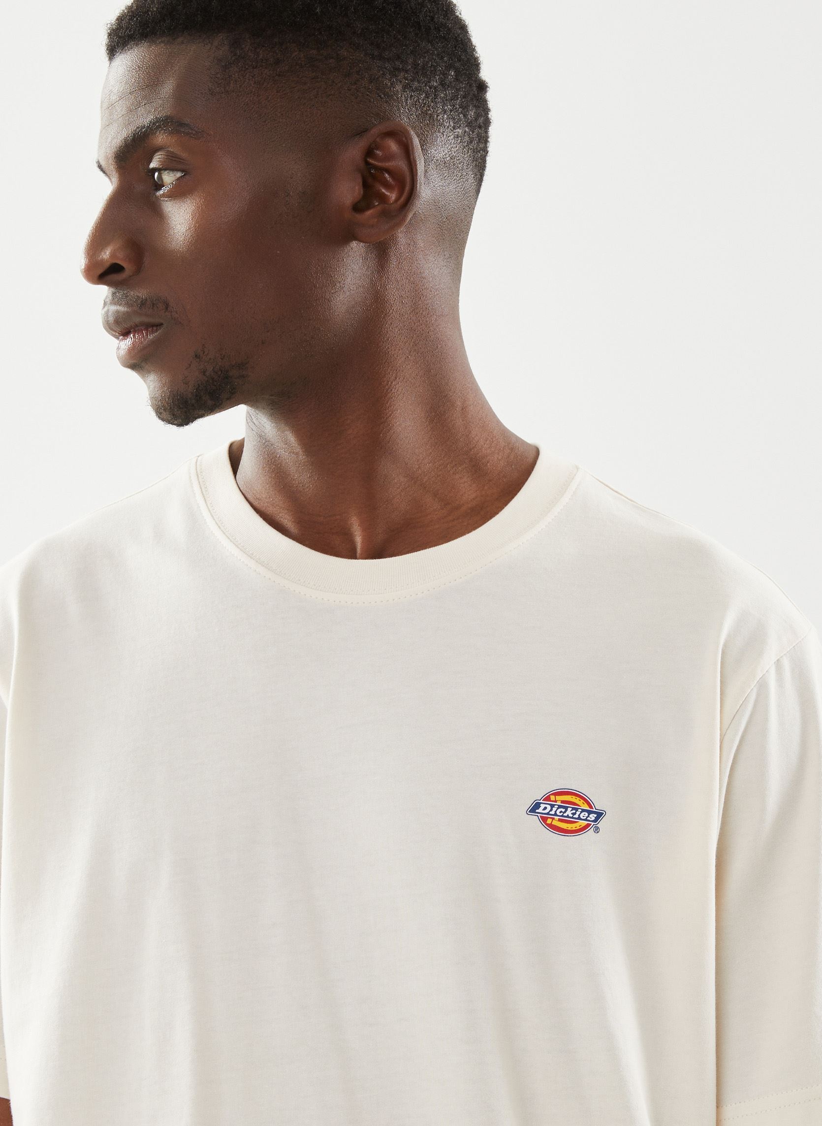 Tee-shirts Ss Mapleton T-Shirt homme blanc Dickies Tee-shirts Ss Mapleton T-Shirt homme blanc WHITECAP GRAY