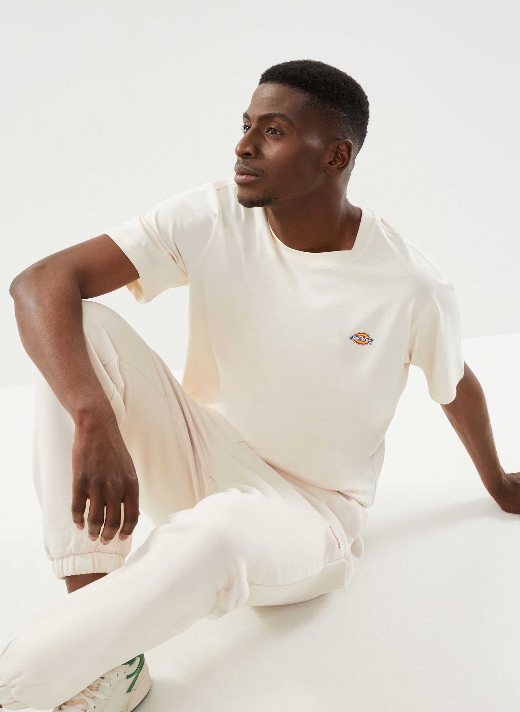 Vêtements Dickies Ss Mapleton T Shirt pour Accessoires - vue 6