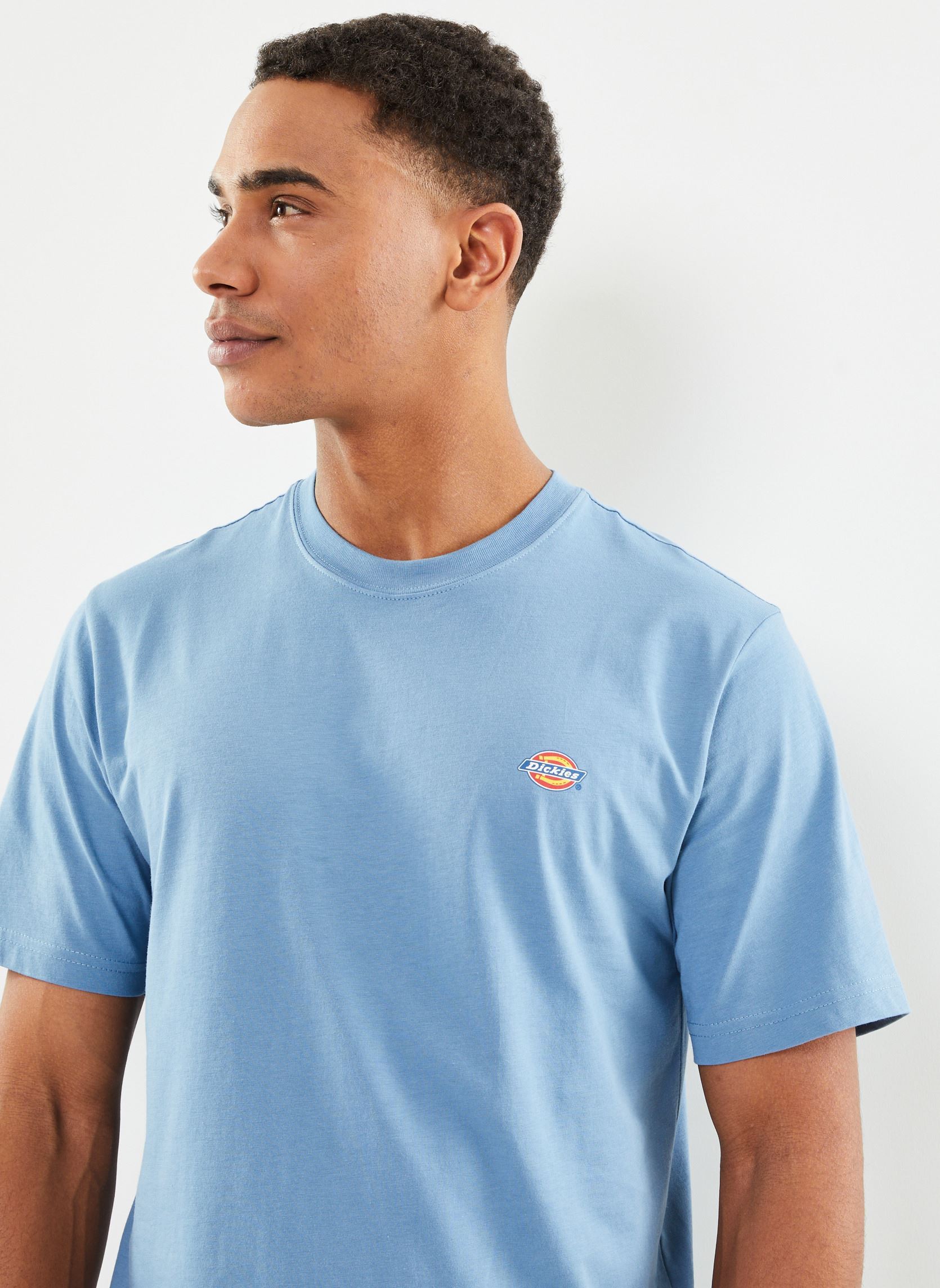 Tee-shirts Ss Mapleton T-Shirt homme bleu Dickies Tee-shirts Ss Mapleton T-Shirt homme bleu CORONET BLUE