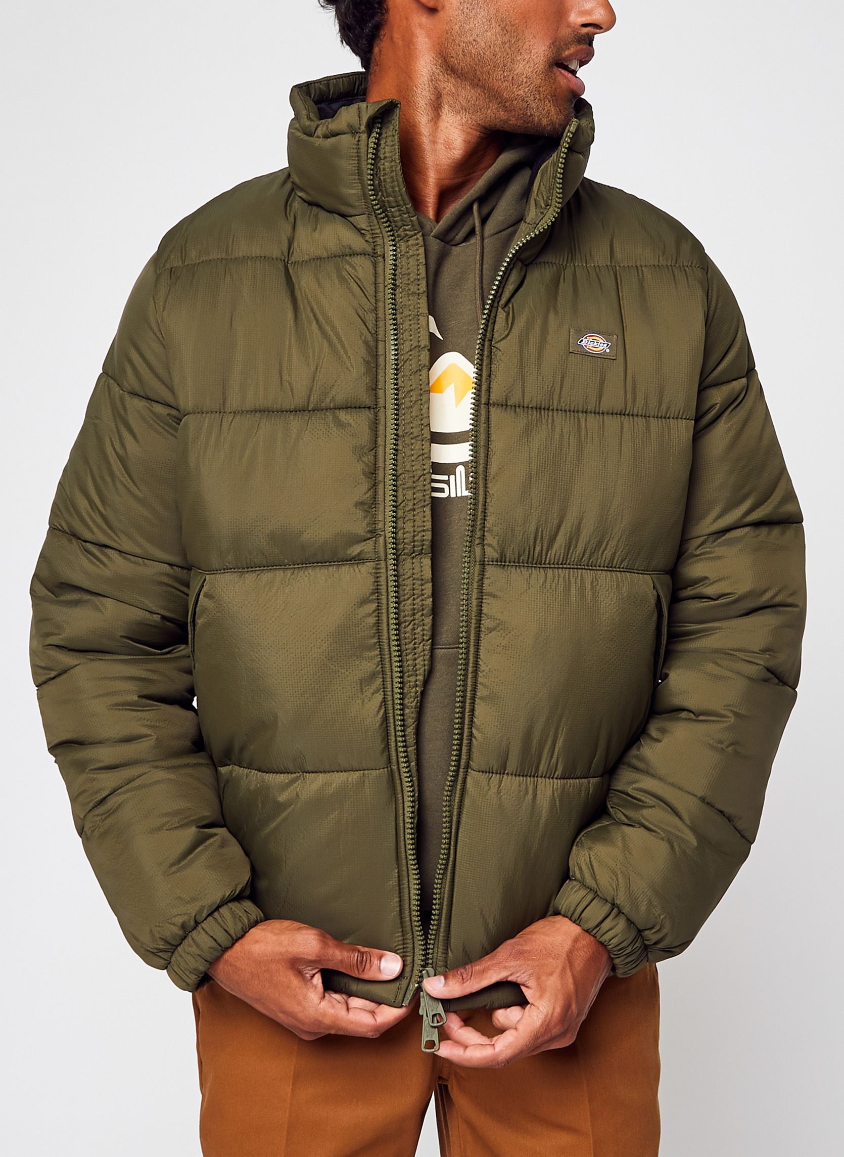 Vêtements Dickies Waldenburg Military Gr pour Accessoires