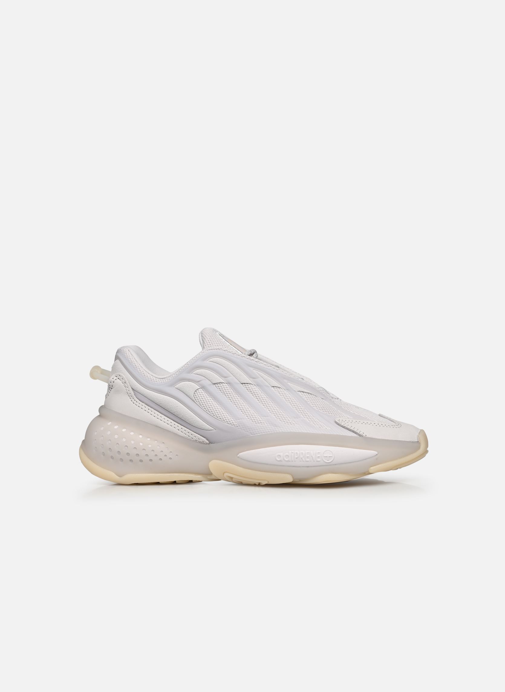 Niedrige Sneaker Ozrah W damen grau adidas originals Niedrige Sneaker Ozrah W damen grau DSHGRY/DSHGRY/ECRTIN