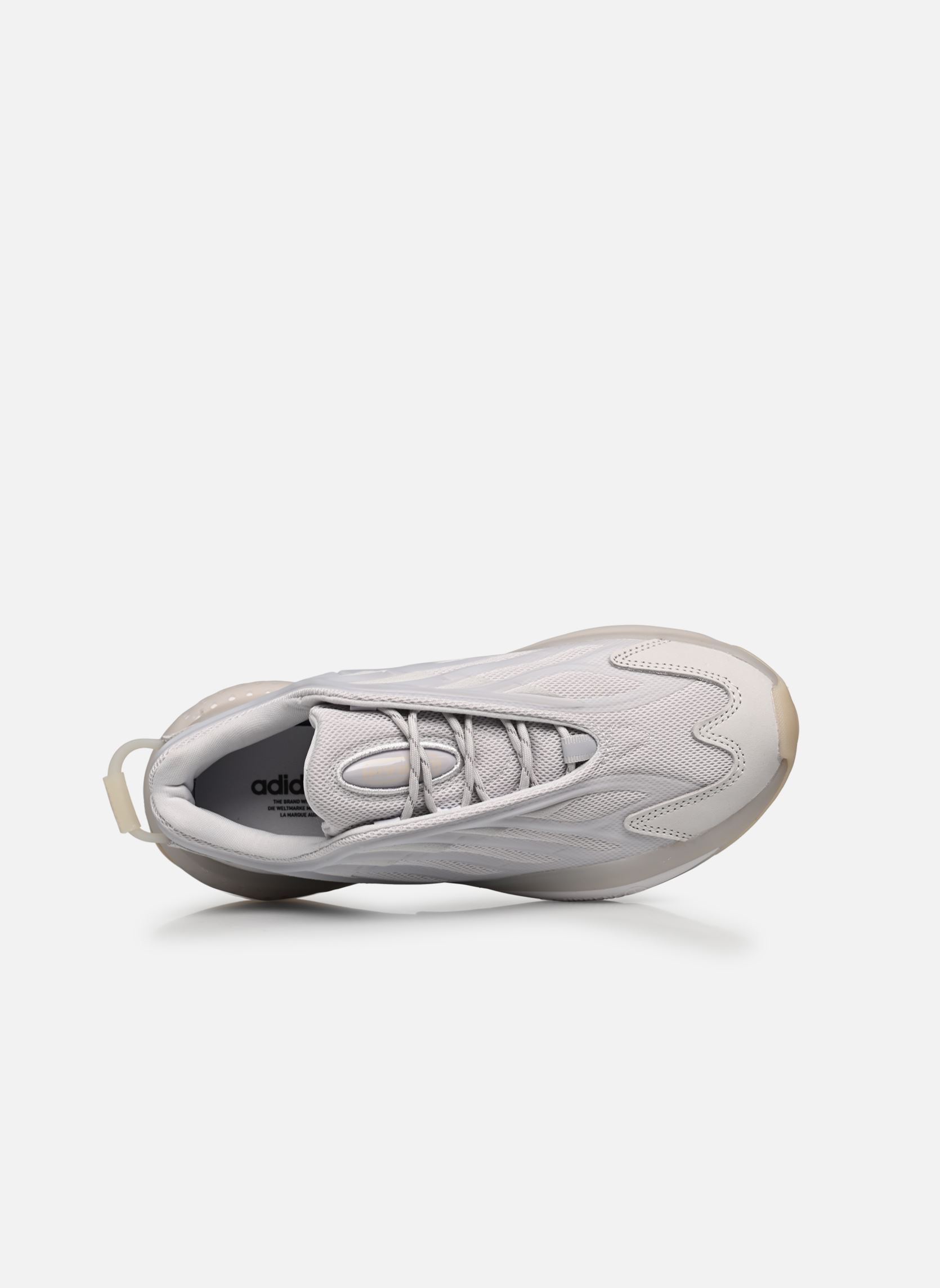 Niedrige Sneaker Ozrah W damen grau adidas originals Niedrige Sneaker Ozrah W damen grau DSHGRY/DSHGRY/ECRTIN