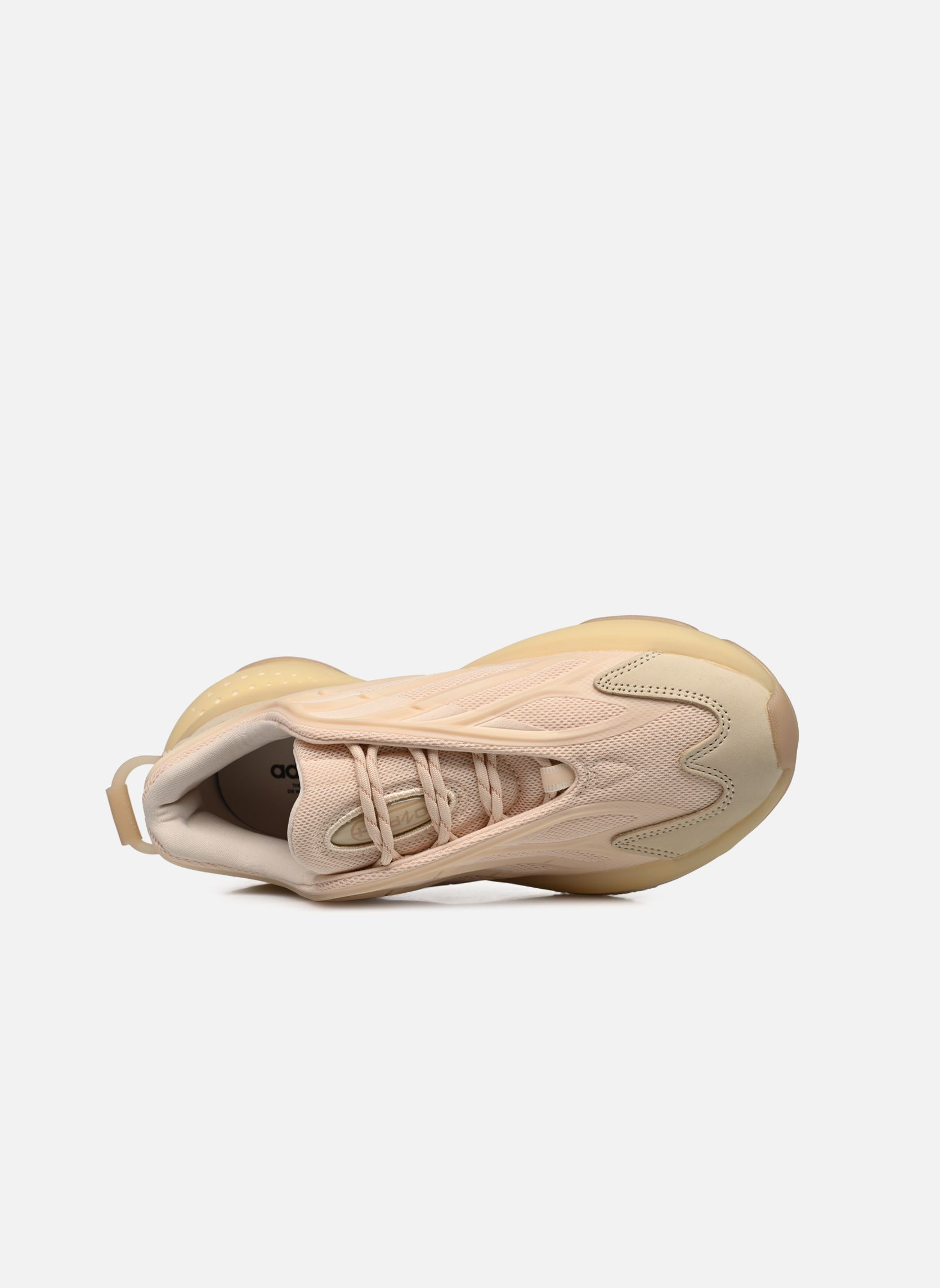 Niedrige Sneaker Ozrah W damen beige adidas originals Niedrige Sneaker Ozrah W damen beige ECRTIN/ECRTIN/MAGBEI