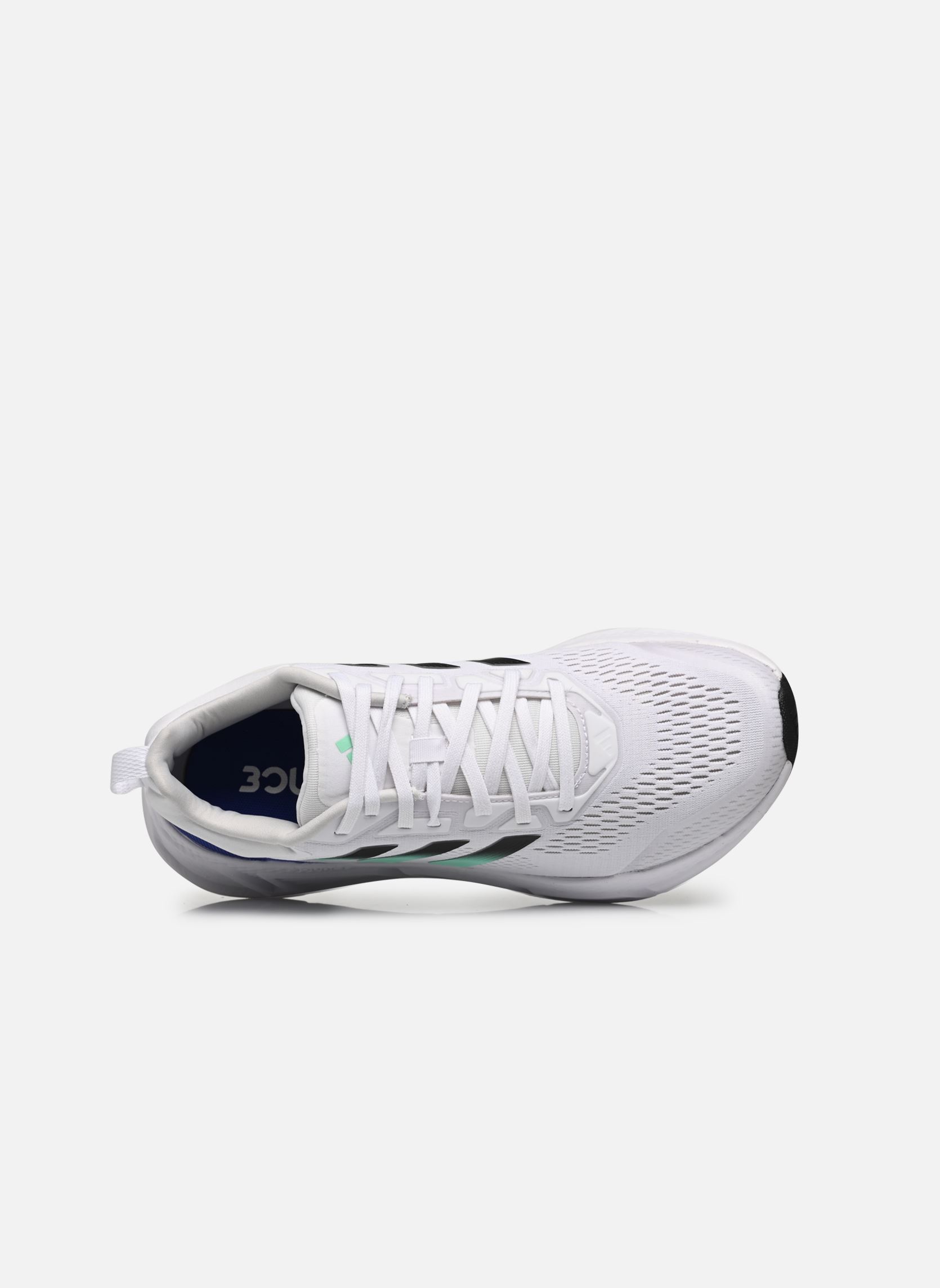 Sportschuhe Questar M herren weiß adidas performance Sportschuhe Questar M herren weiß FTWWHT/CBLACK/PULMIN