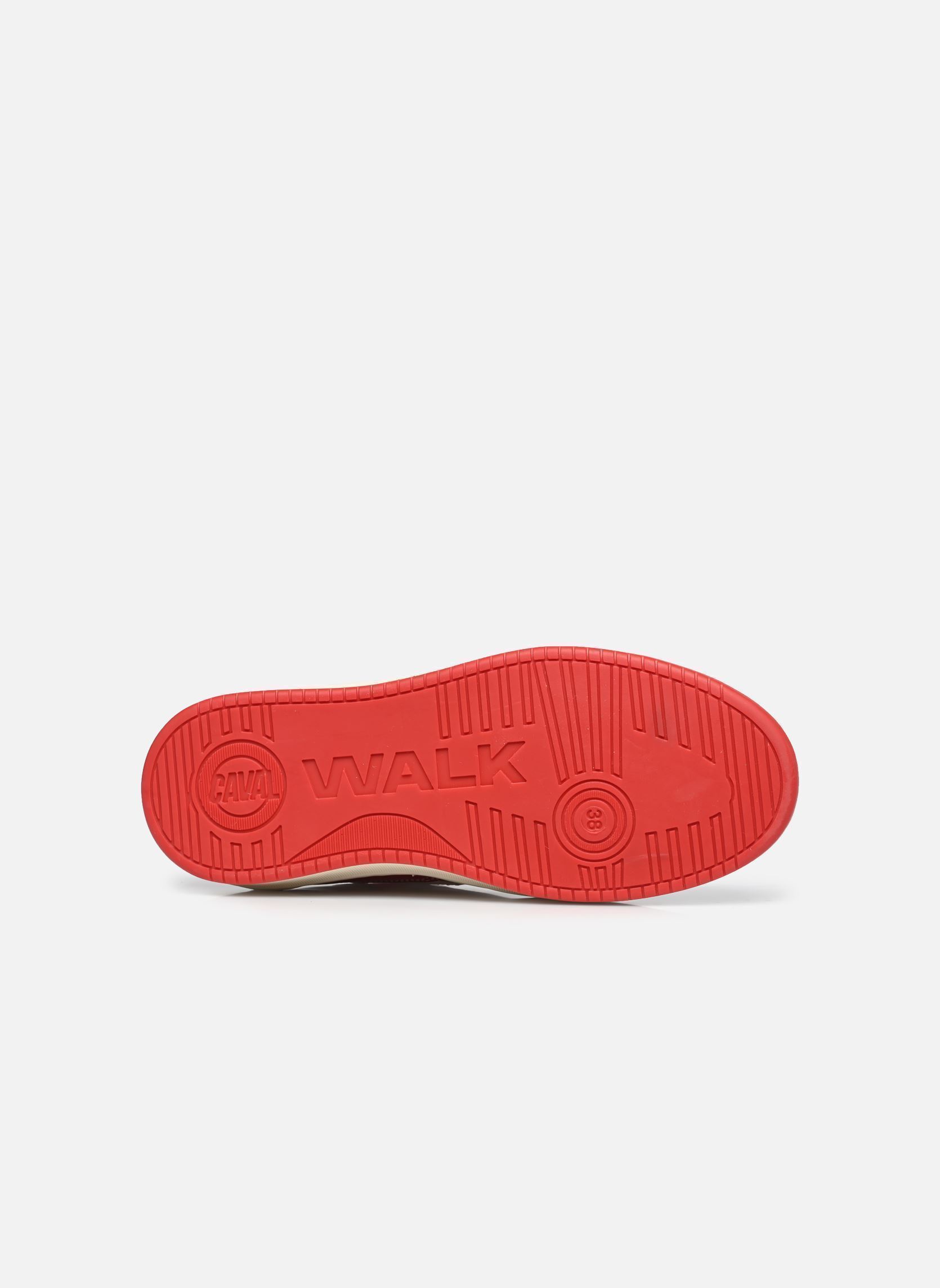 Niedrige Sneaker Playground W damen rot Caval Niedrige Sneaker Playground W damen rot LIPSTICK CANDY