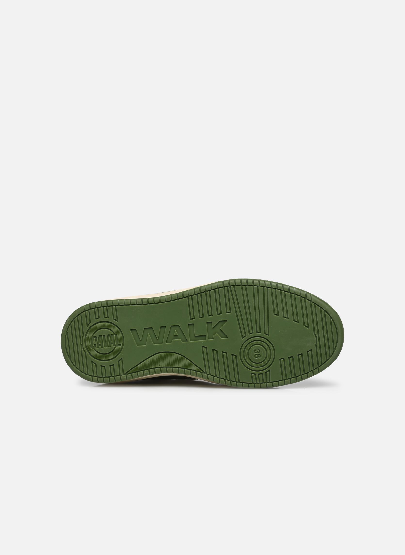 Baskets basses Playground W femme vert Caval Baskets basses Playground W femme vert DREAM MATCHA