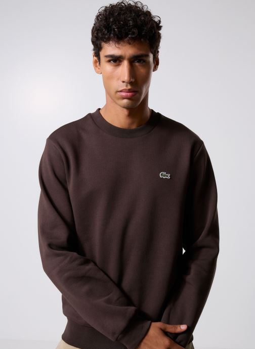 Lacoste Sweats Sweatshirt homme Lacoste homme marron