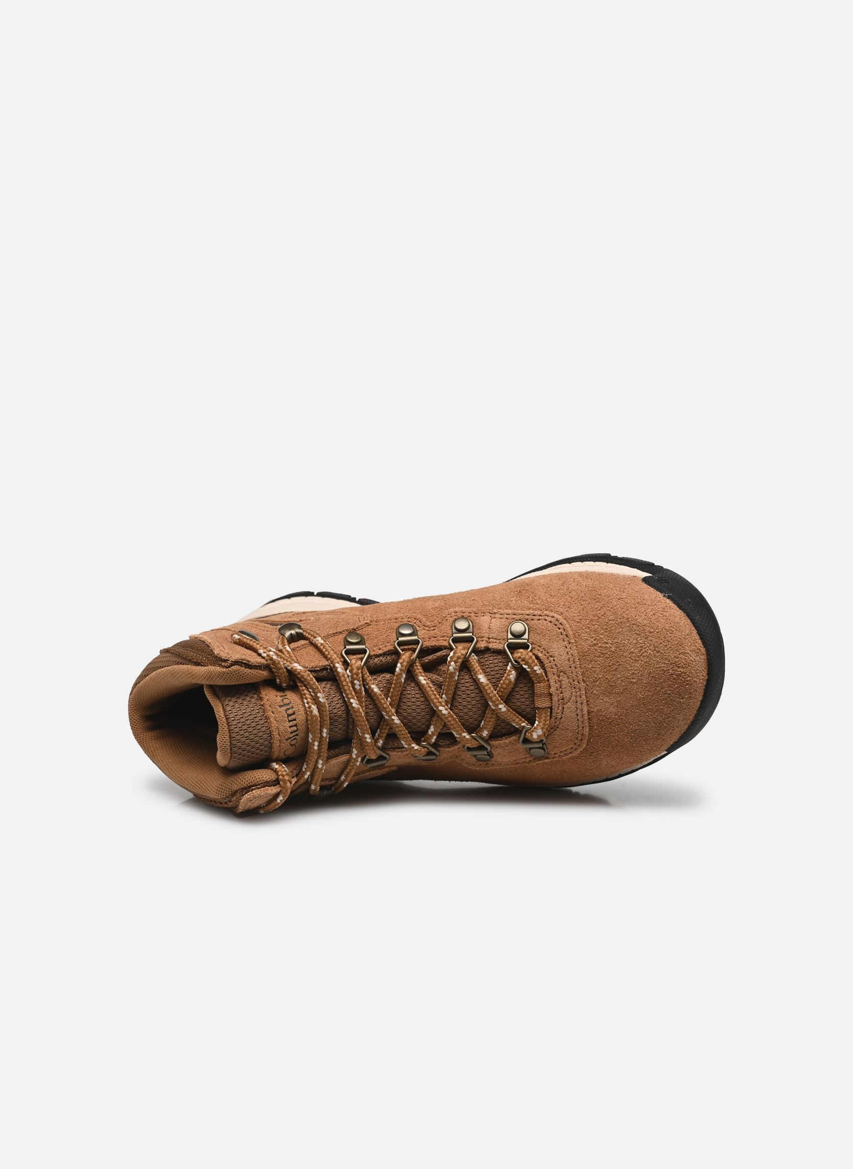 Sportschoenen Newton Ridge Plus Waterproof W dames bruin Columbia Sportschoenen Newton Ridge Plus Waterproof W dames bruin Elk, Dark Stone