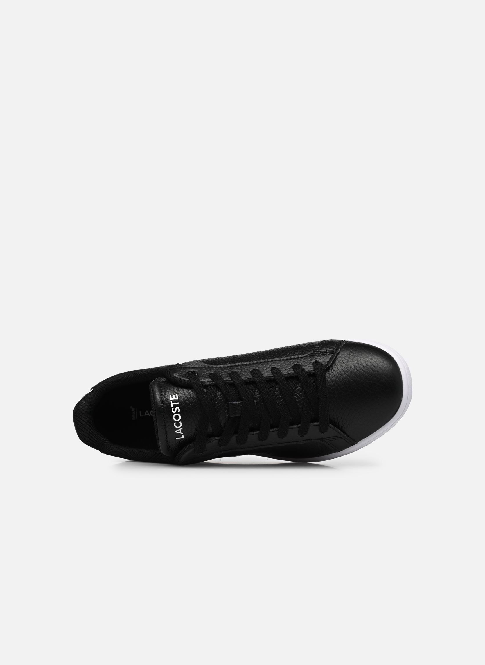 Niedrige Sneaker Carnaby Pro 222 1 Sfa W damen schwarz Lacoste Niedrige Sneaker Carnaby Pro 222 1 Sfa W damen schwarz BLKWHT