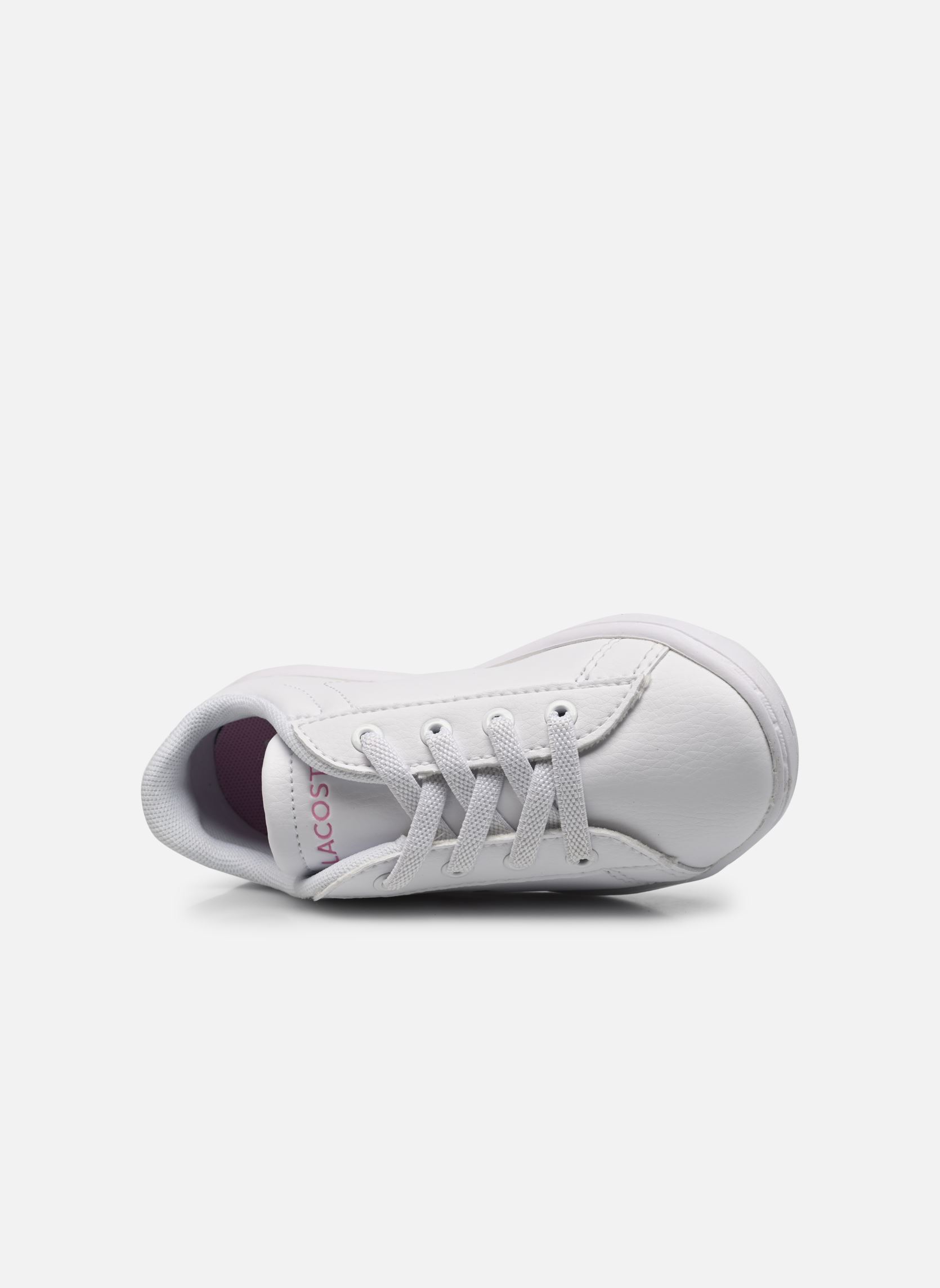 Baskets basses Carnaby Evo 222 2 Sui blanc Lacoste Baskets basses Carnaby Evo 222 2 Sui blanc wht/wht