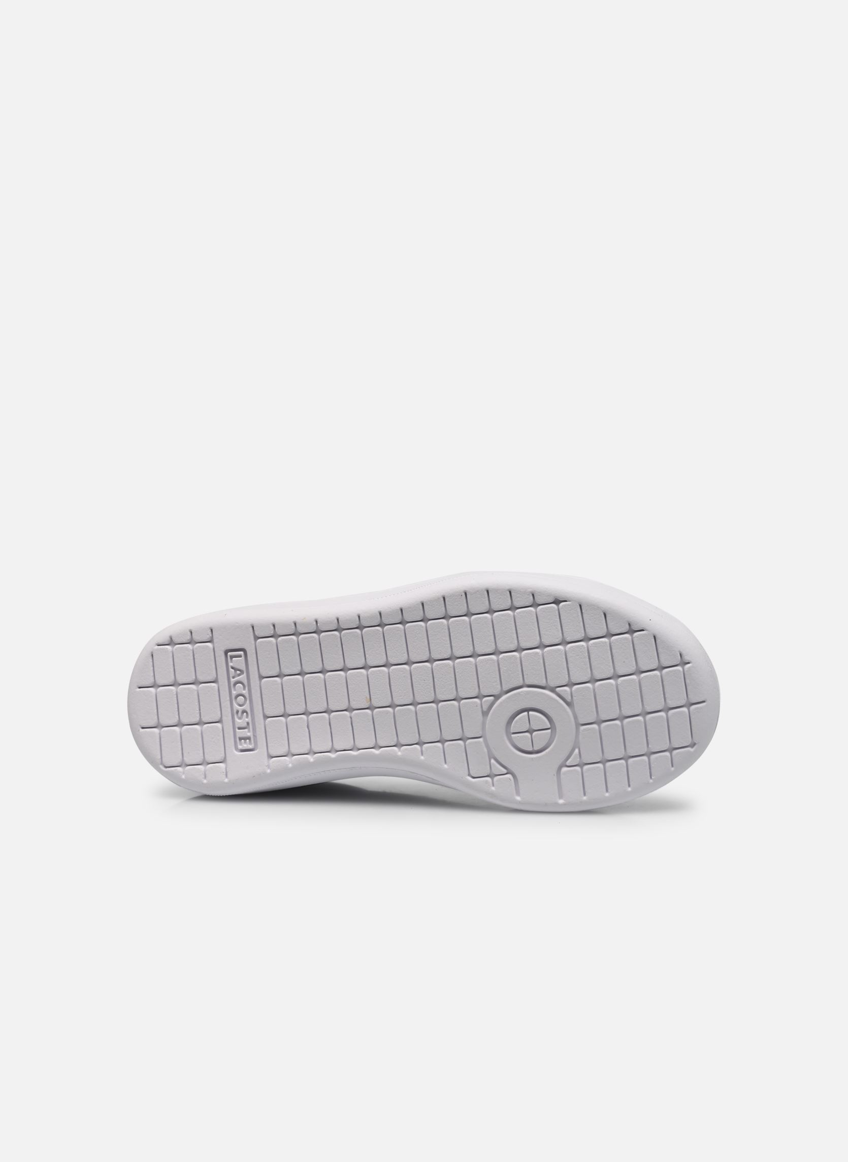 Baskets basses Carnaby Evo 222 2 Sui blanc Lacoste Baskets basses Carnaby Evo 222 2 Sui blanc wht/wht