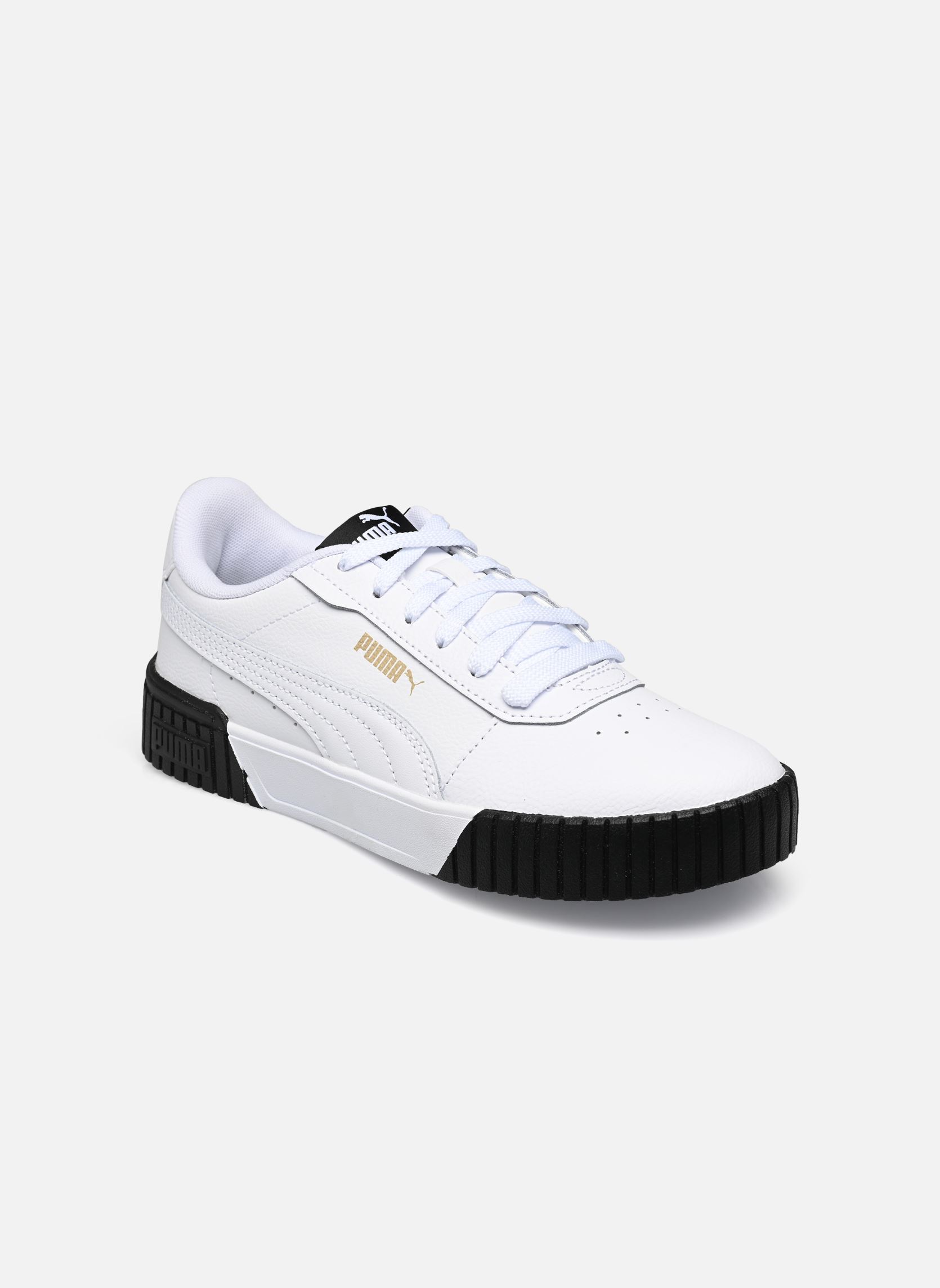 Puma Carina 2.0 - vue 10