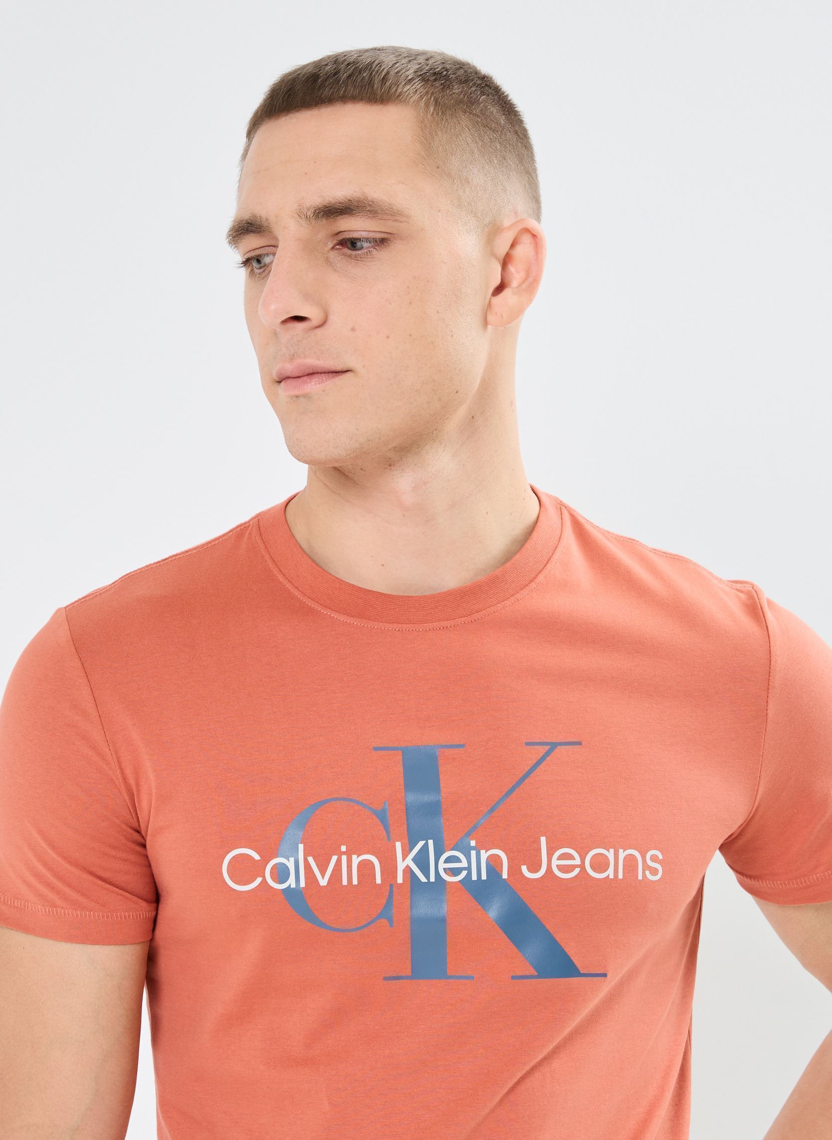 Tee-shirts Seasonal Monologo Tee homme marron Calvin Klein Jeans Tee-shirts Seasonal Monologo Tee homme marron ARAGON