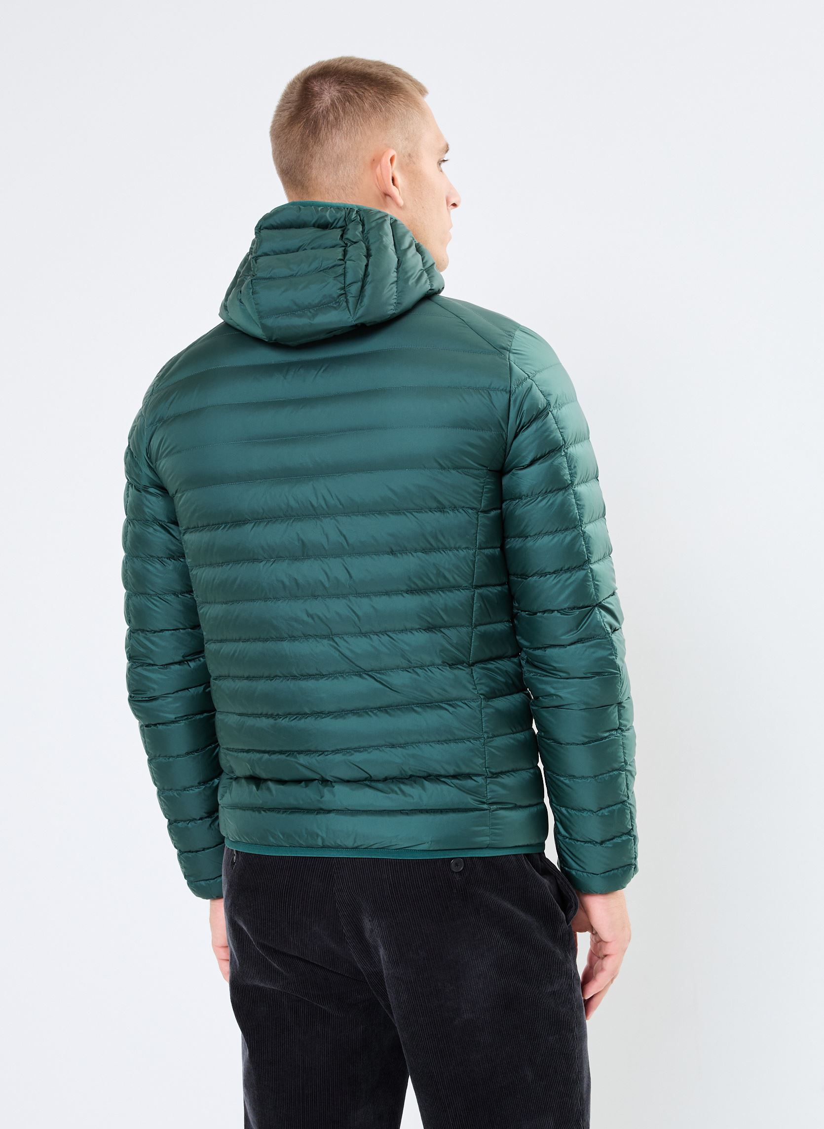 Daunenjacken Nico herren grün JOTT Daunenjacken Nico herren grün DEEP FOREST