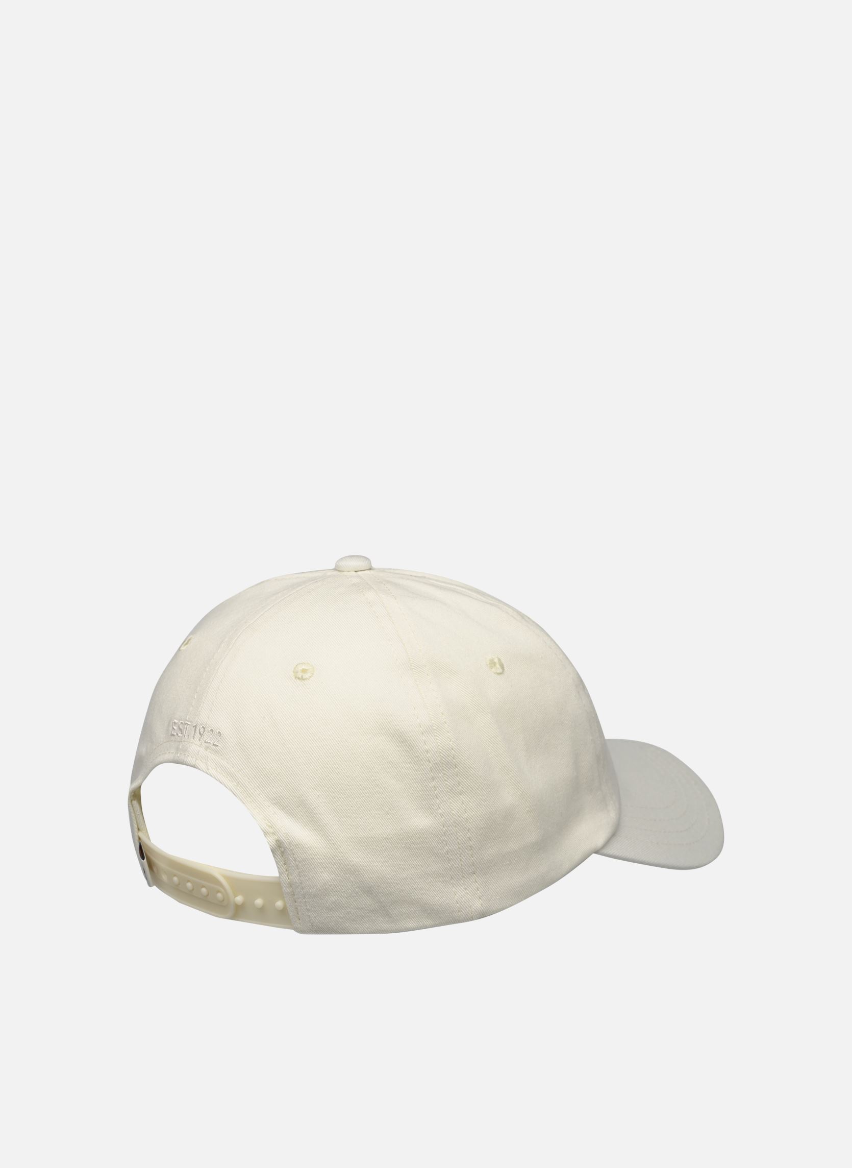 Petten Hardwick Cloud wit Dickies Petten Hardwick Cloud wit CLOUD